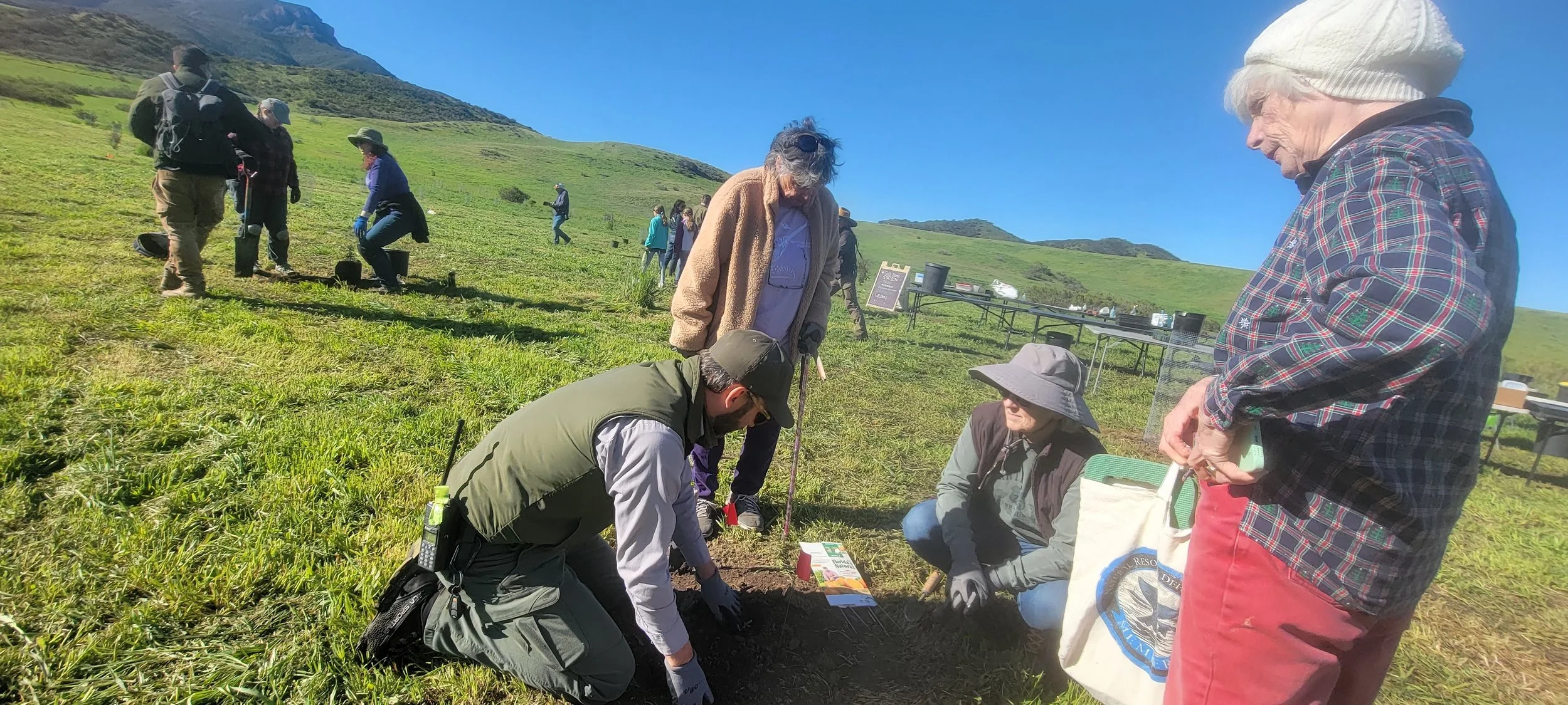  Volunteers working at the 100,000 planting event 