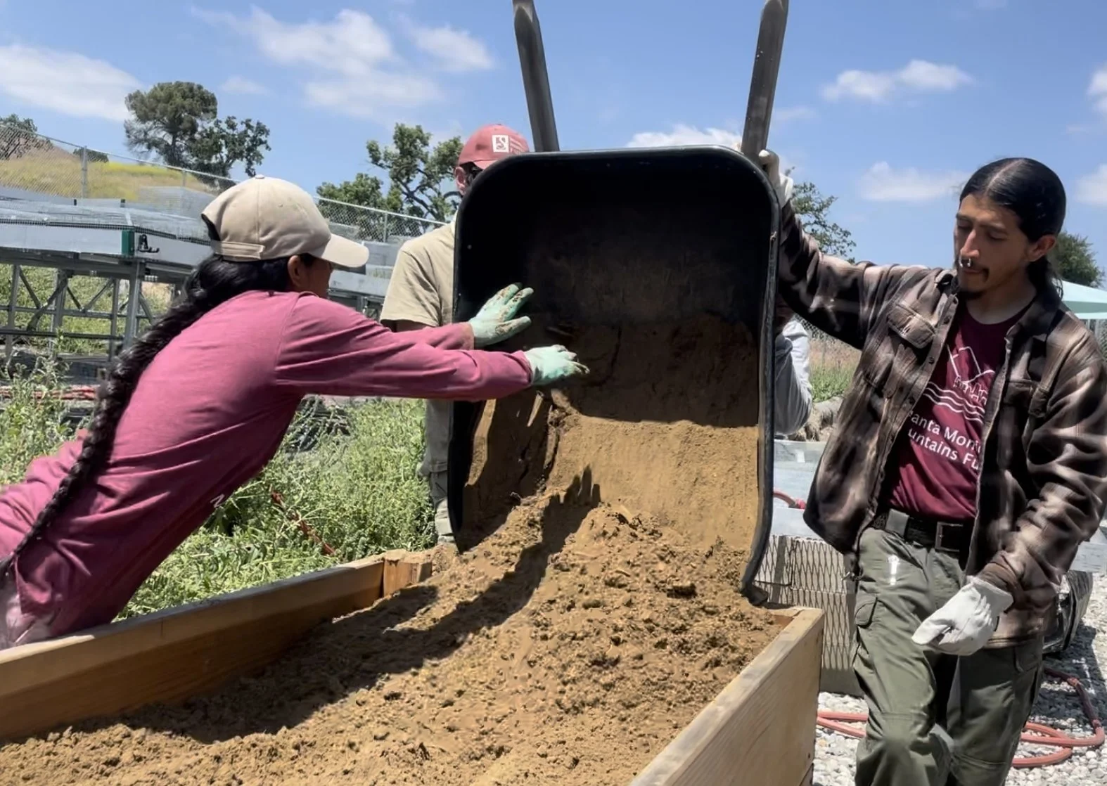 Filling the EcoPile beds which are used to farm the mycorrhizal fungal spores