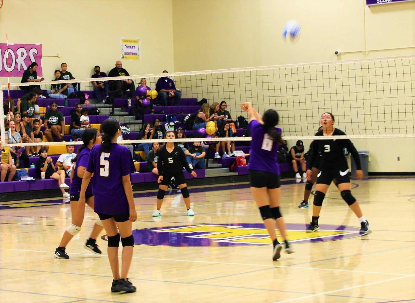girls volleyball 2.JPG