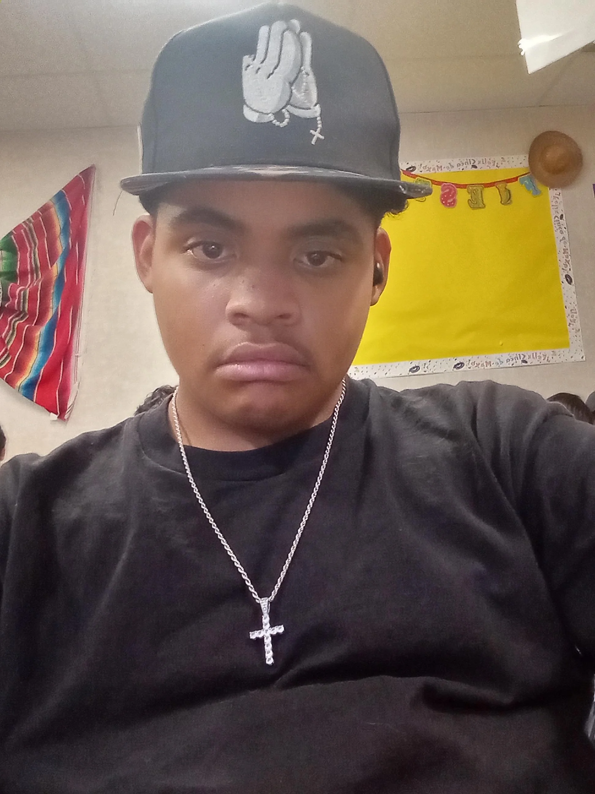 the-fresno-high-owlet-online