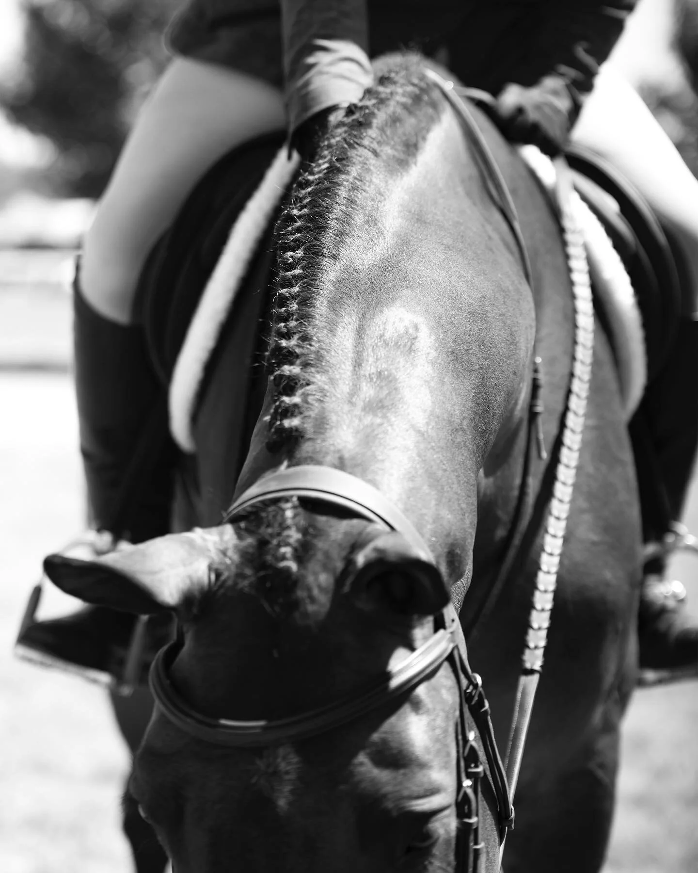 Private clients in black and white this week ☯️