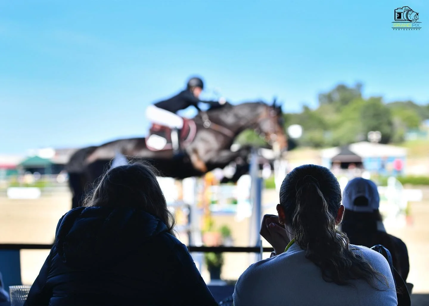 Some horizontals ➖

Shot for @grandpix