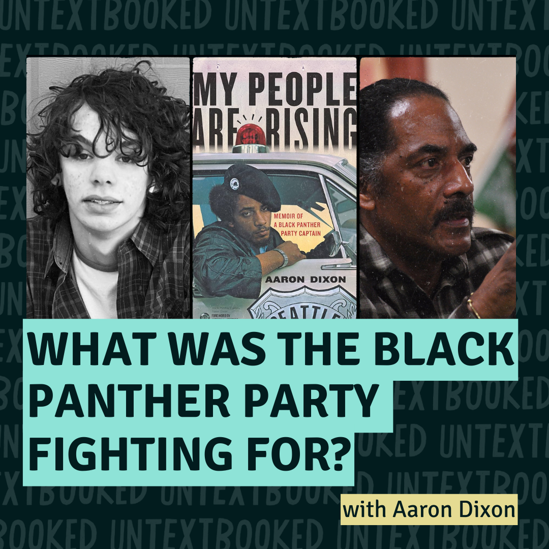 What Was The Black Panther Party Fighting For?