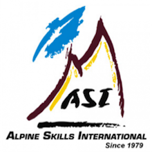 07 logo_asi Partner.png