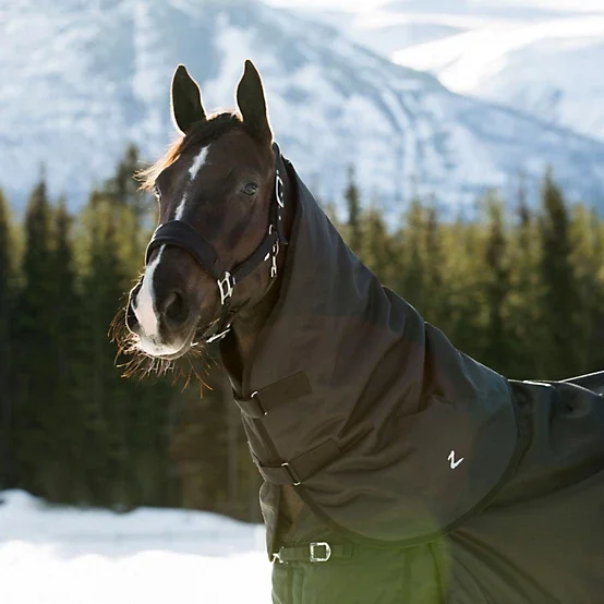 Horze Nevada Turnout Neck Cover KBrand Equestrian