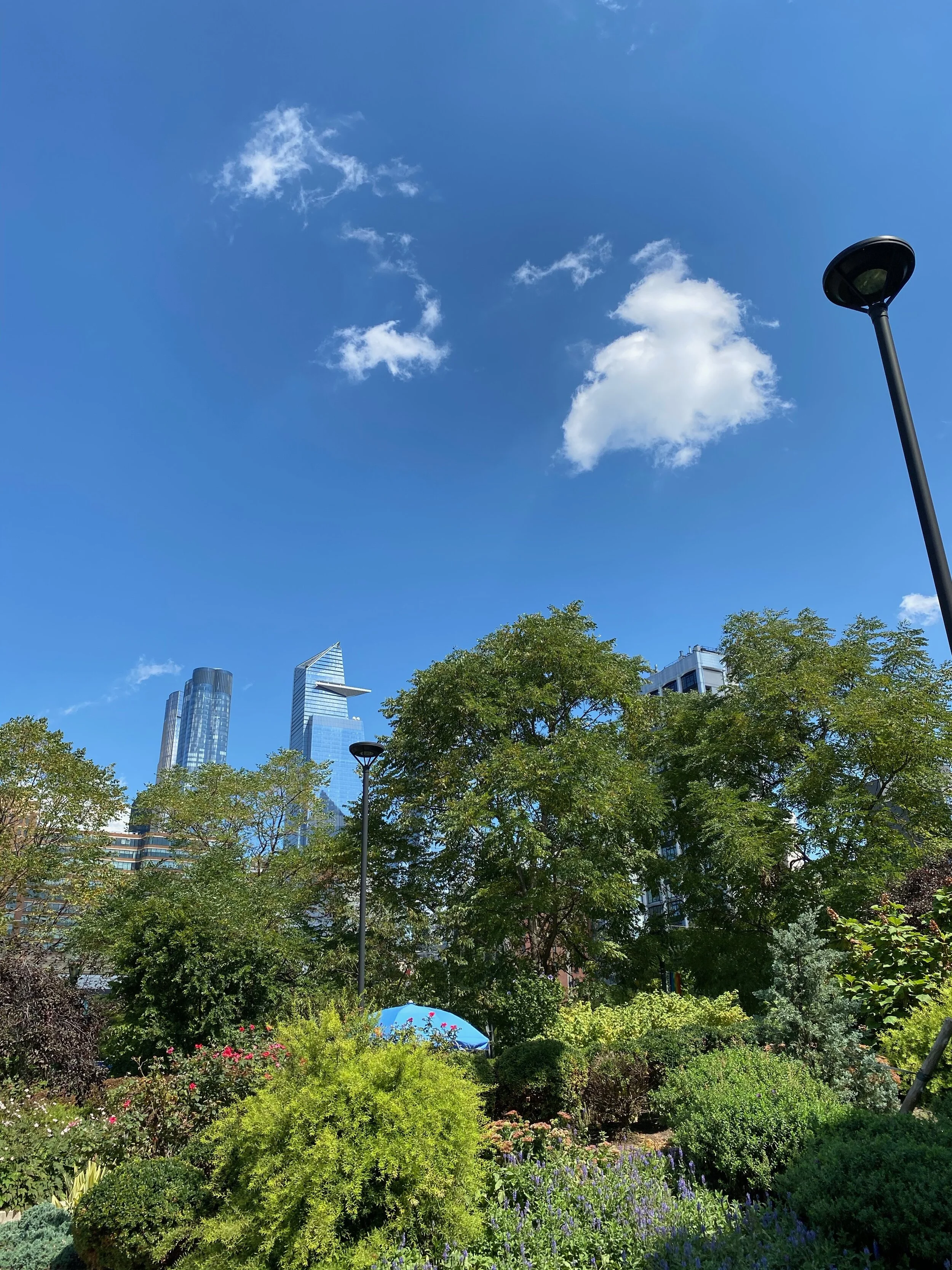 IMG_0499.jpeg