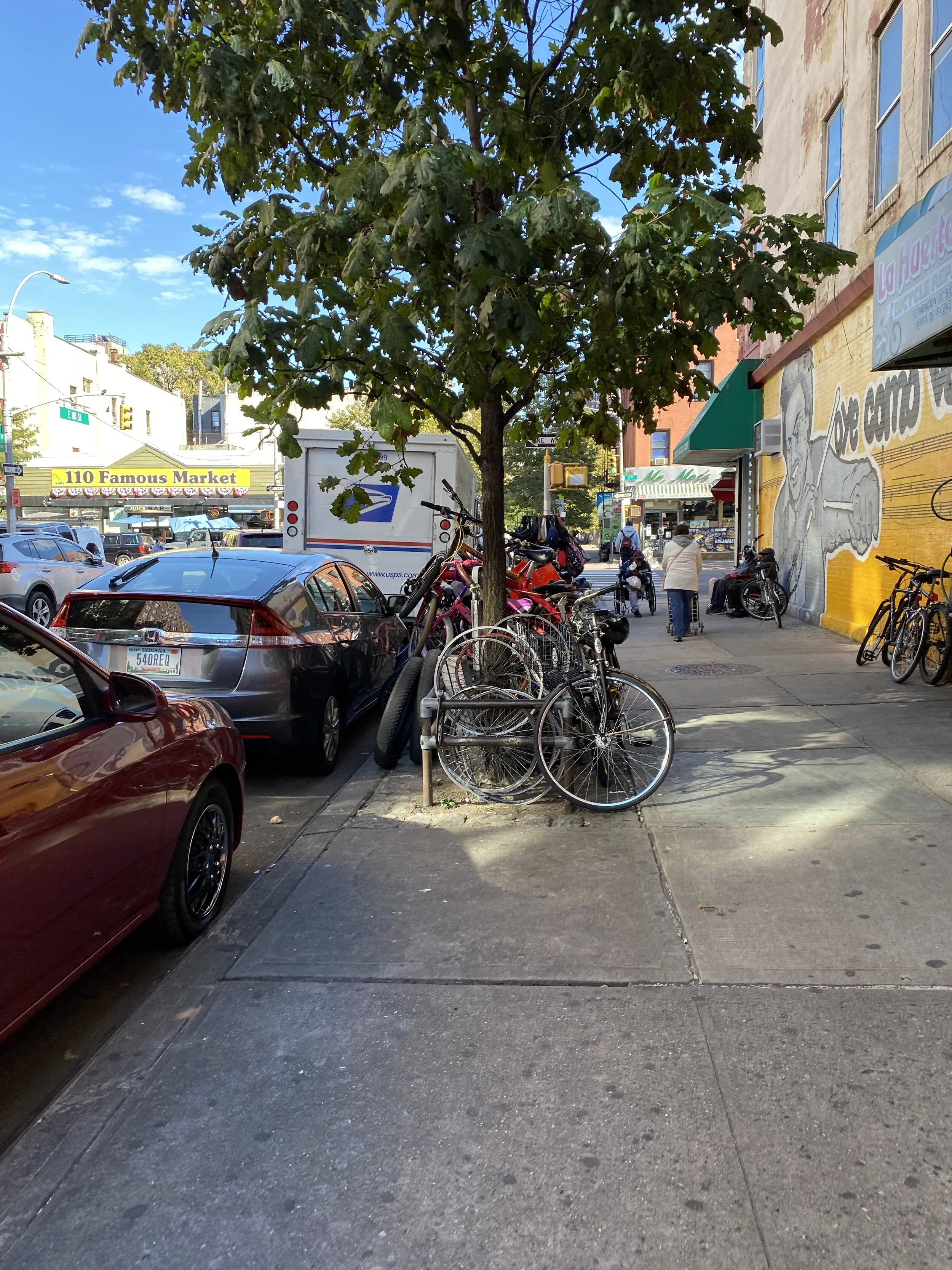 IMG_1207.jpeg