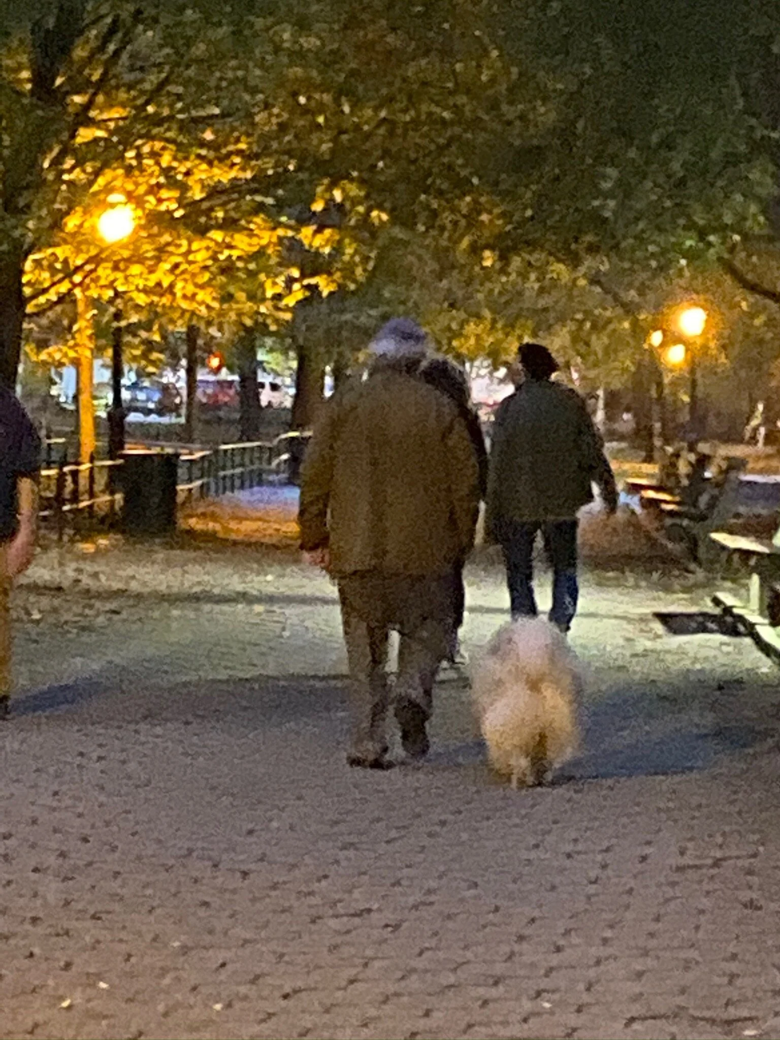 IMG_0111.jpeg