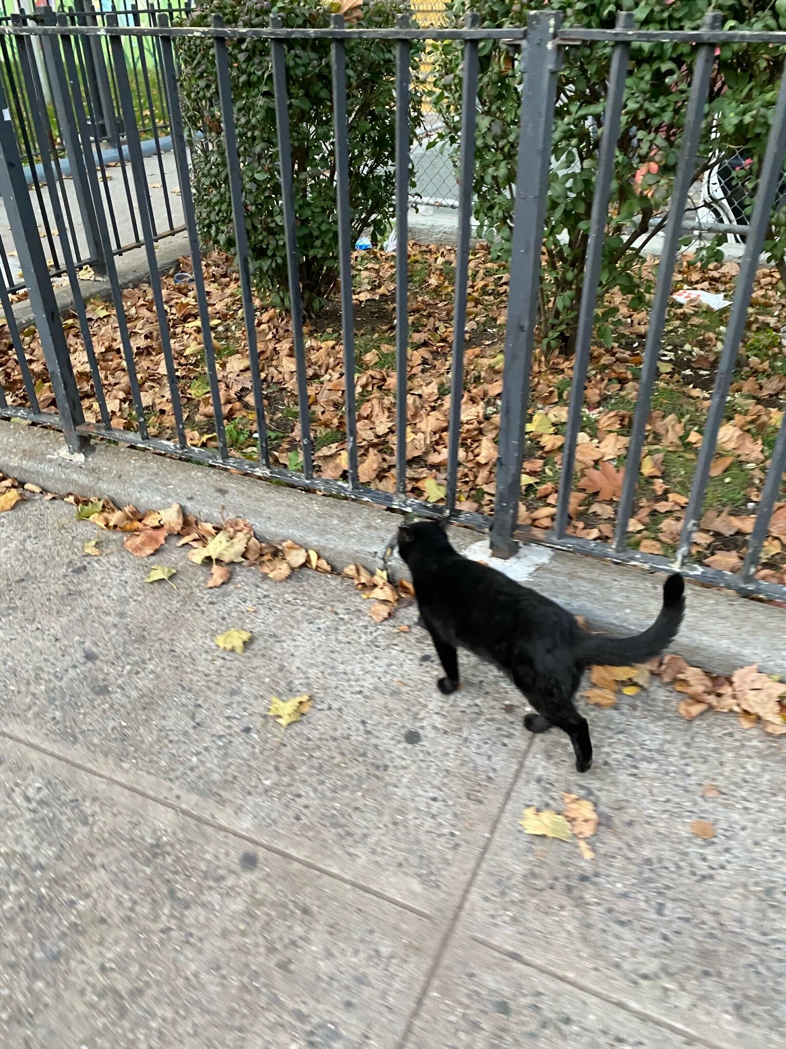 IMG_0165.jpeg