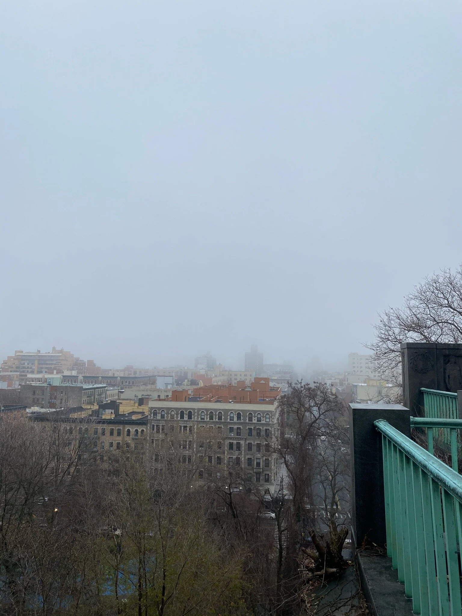 IMG_0212.jpeg
