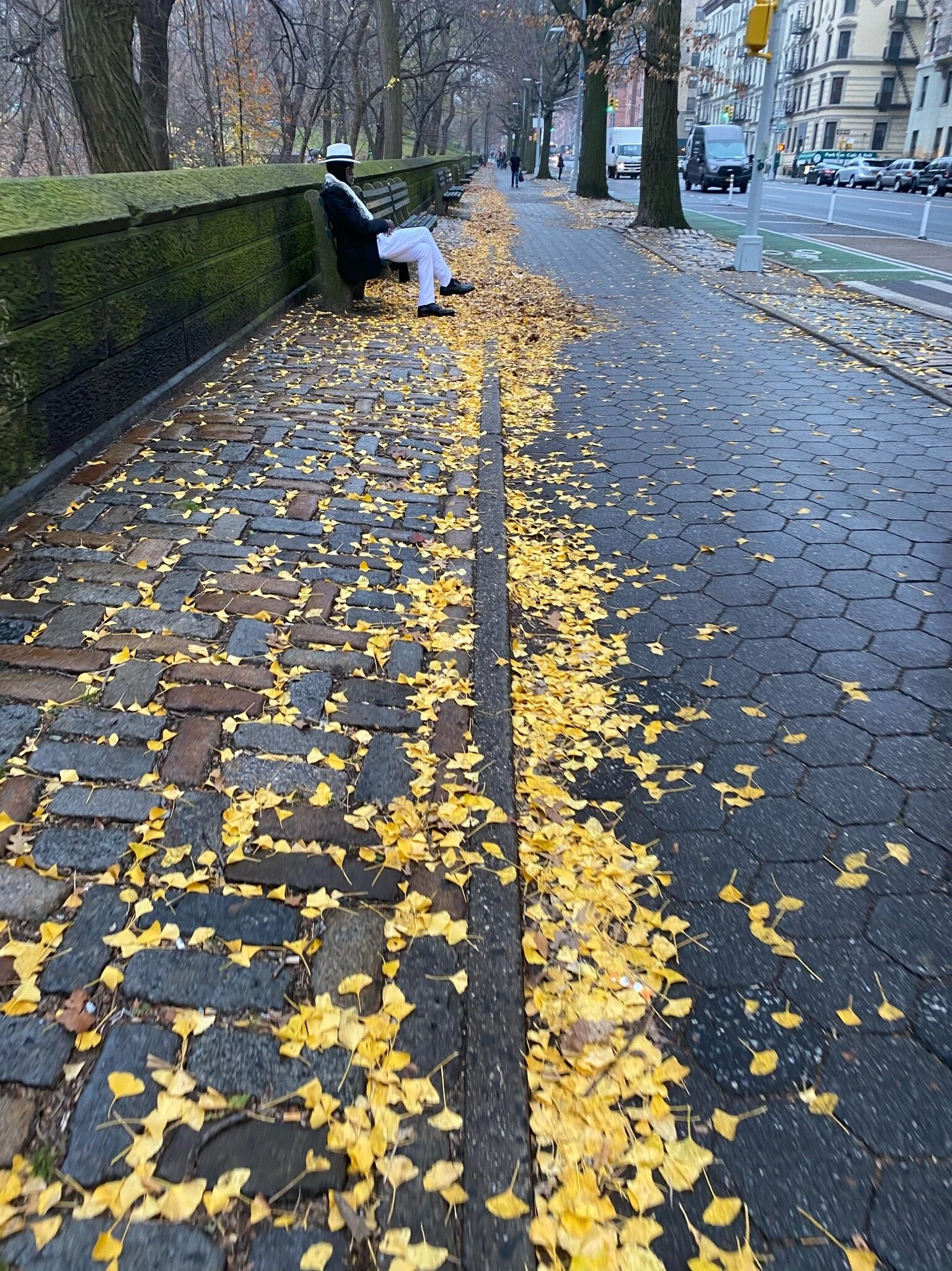 IMG_0229.jpeg