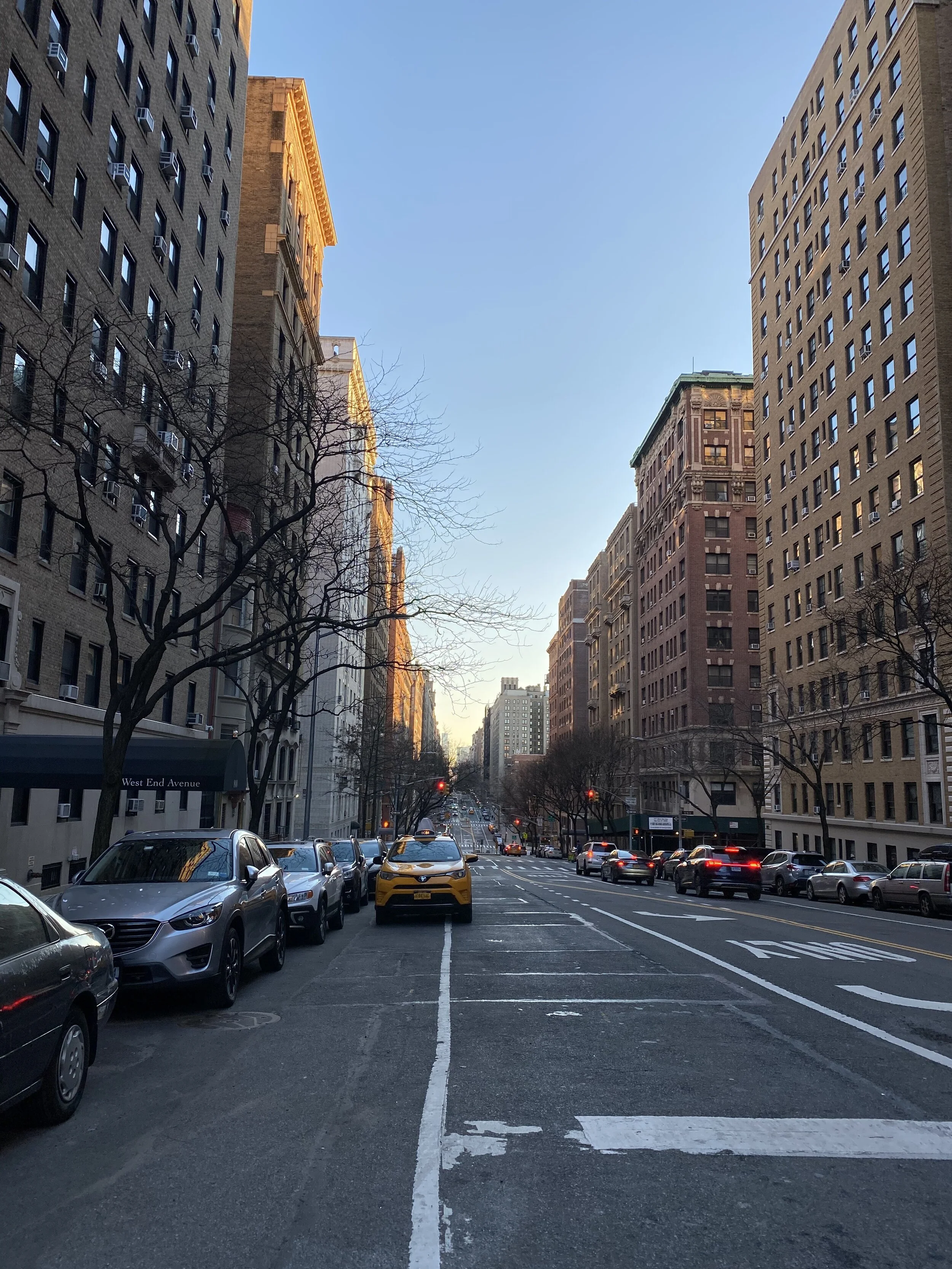 IMG_5334.jpeg