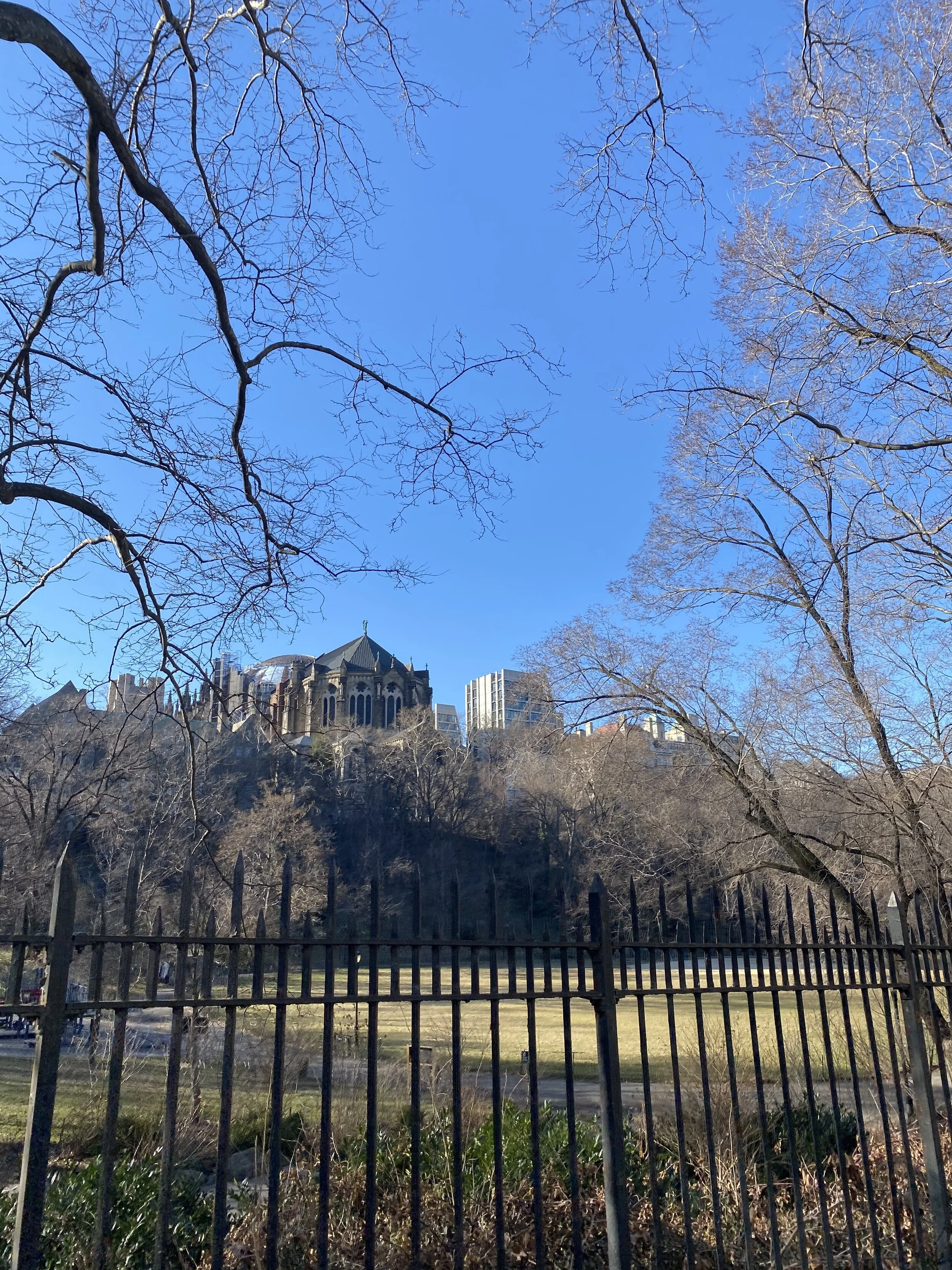 IMG_7170.jpeg