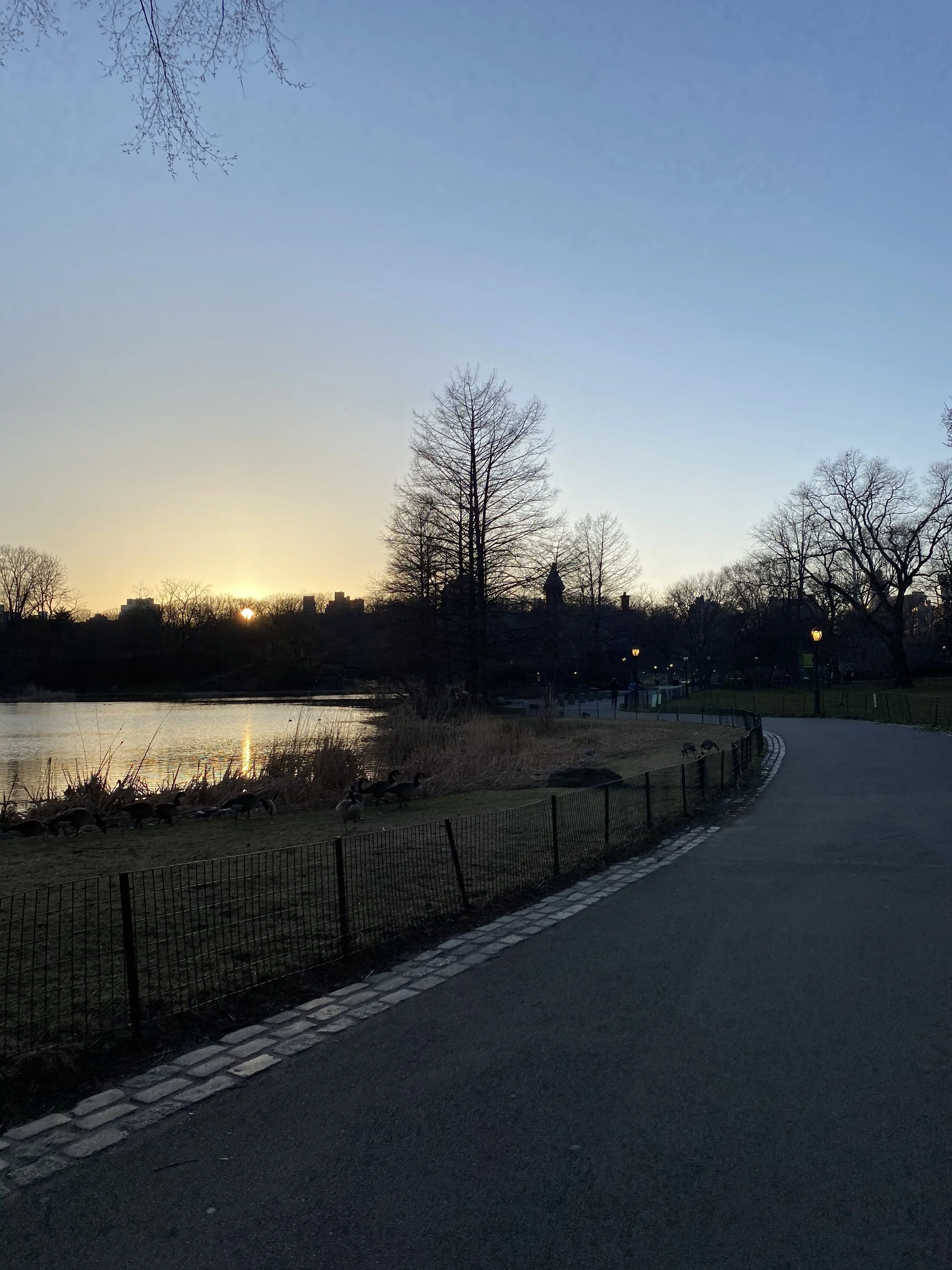 IMG_7188.jpeg
