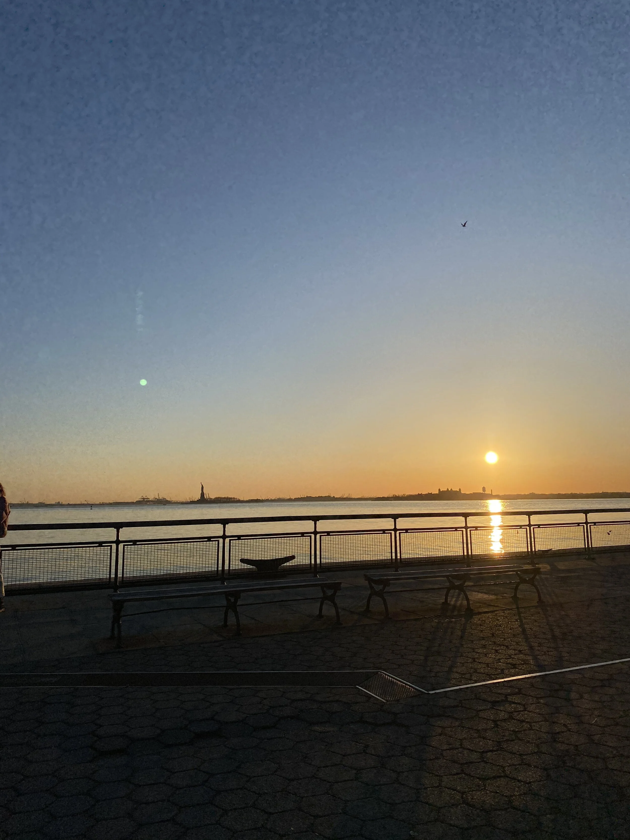 IMG_7274.jpeg