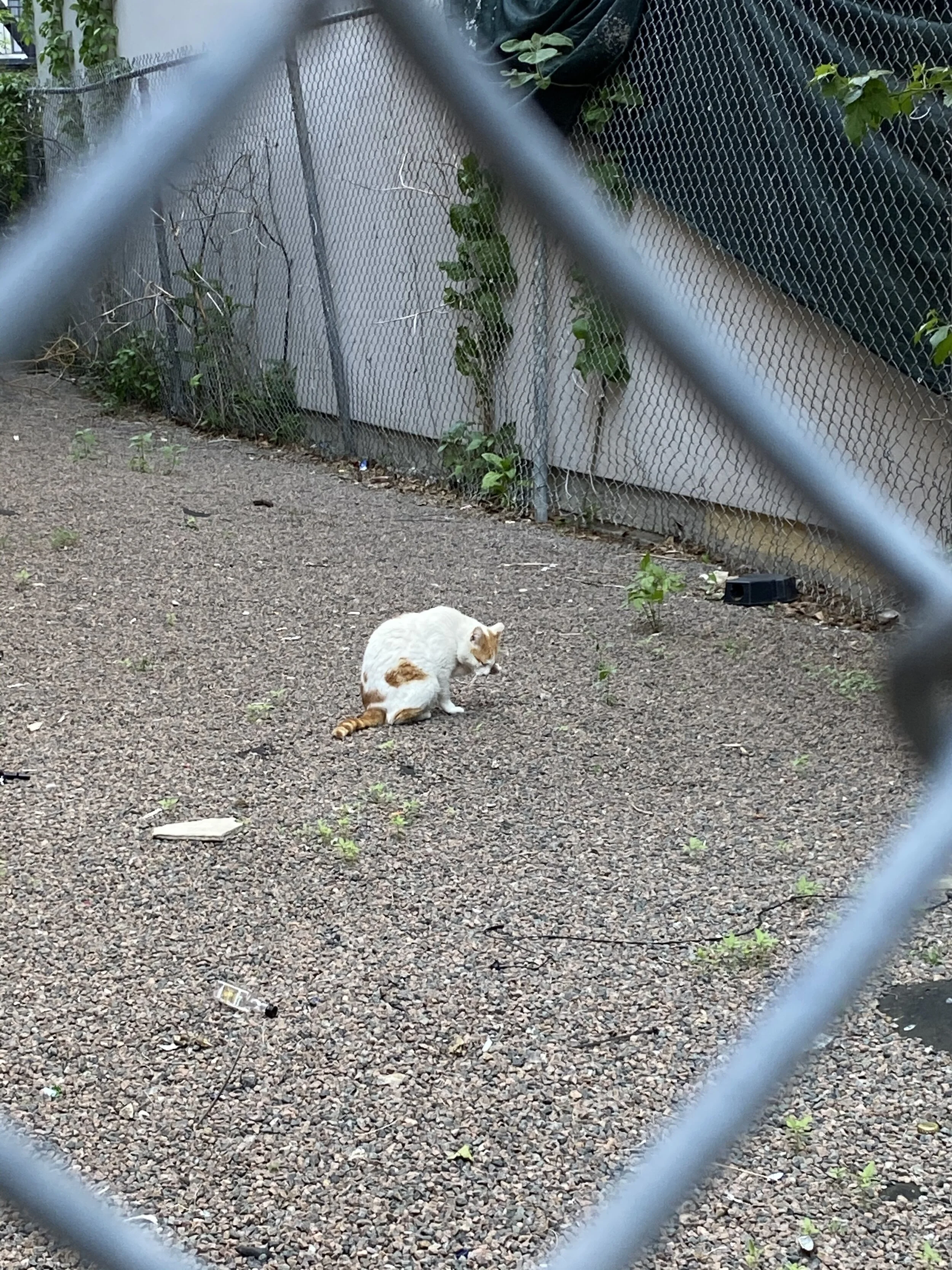 IMG_0788.jpeg