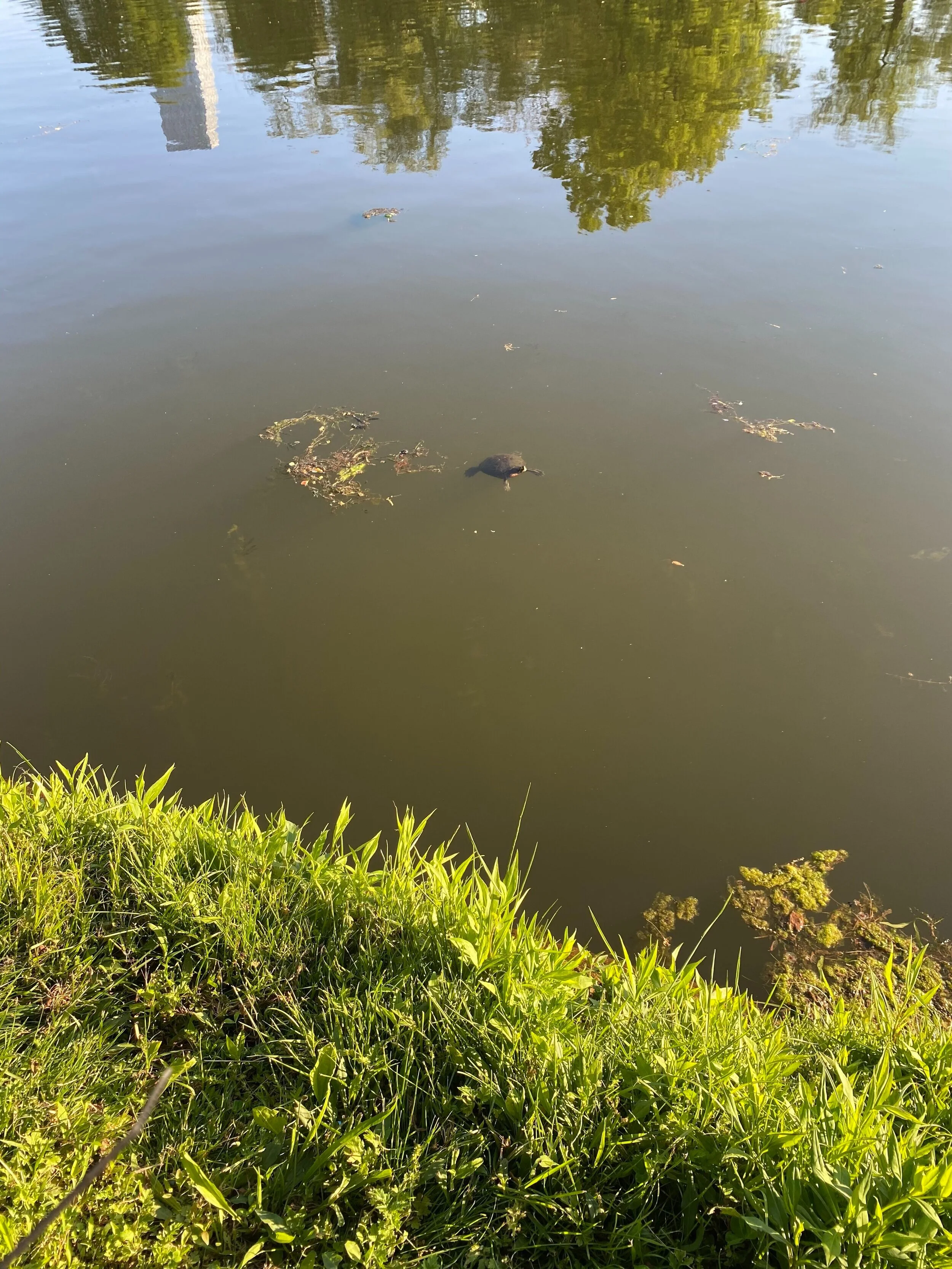 IMG_0799.jpeg