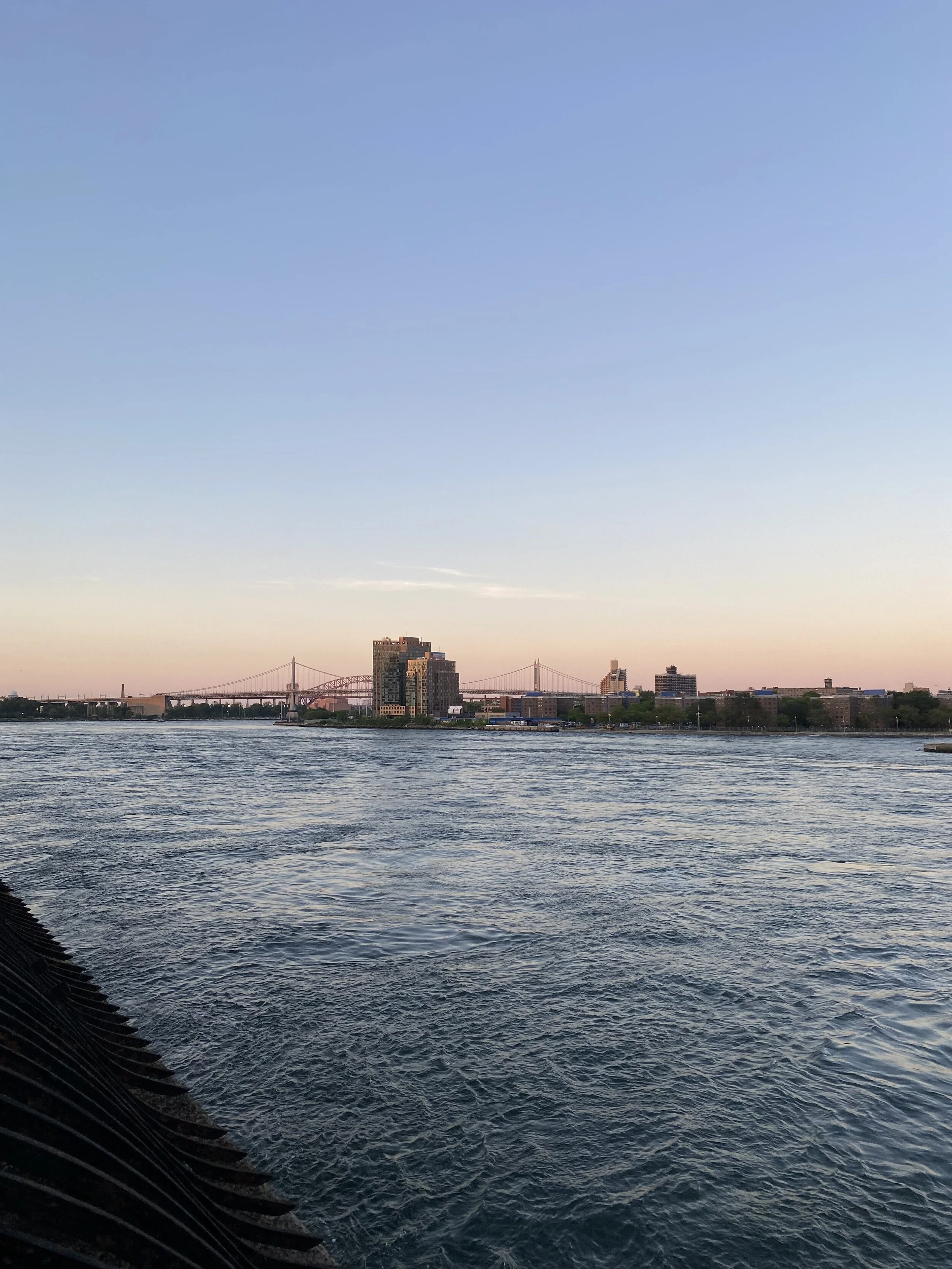 IMG_2007.jpeg