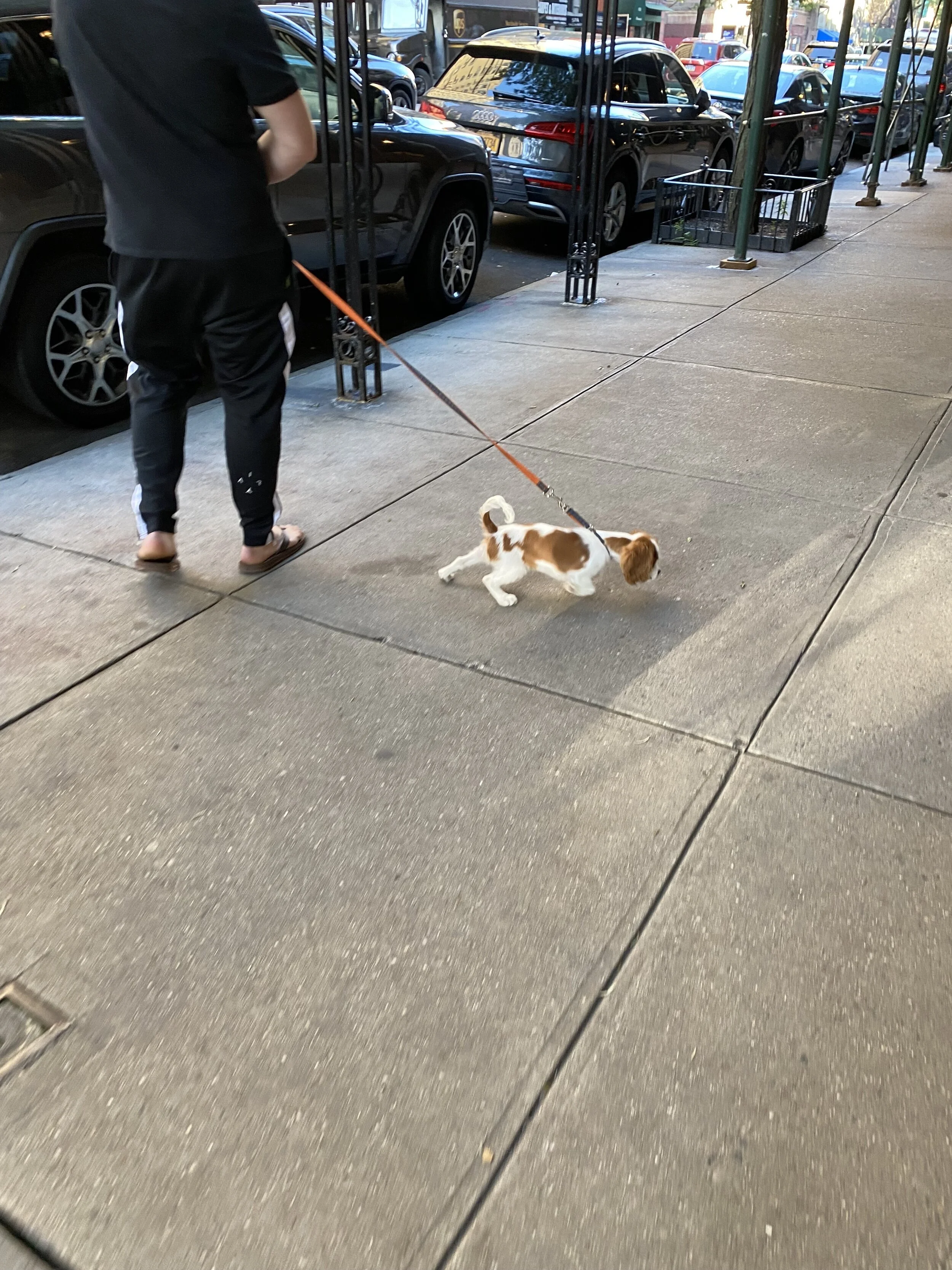 IMG_1975.jpeg