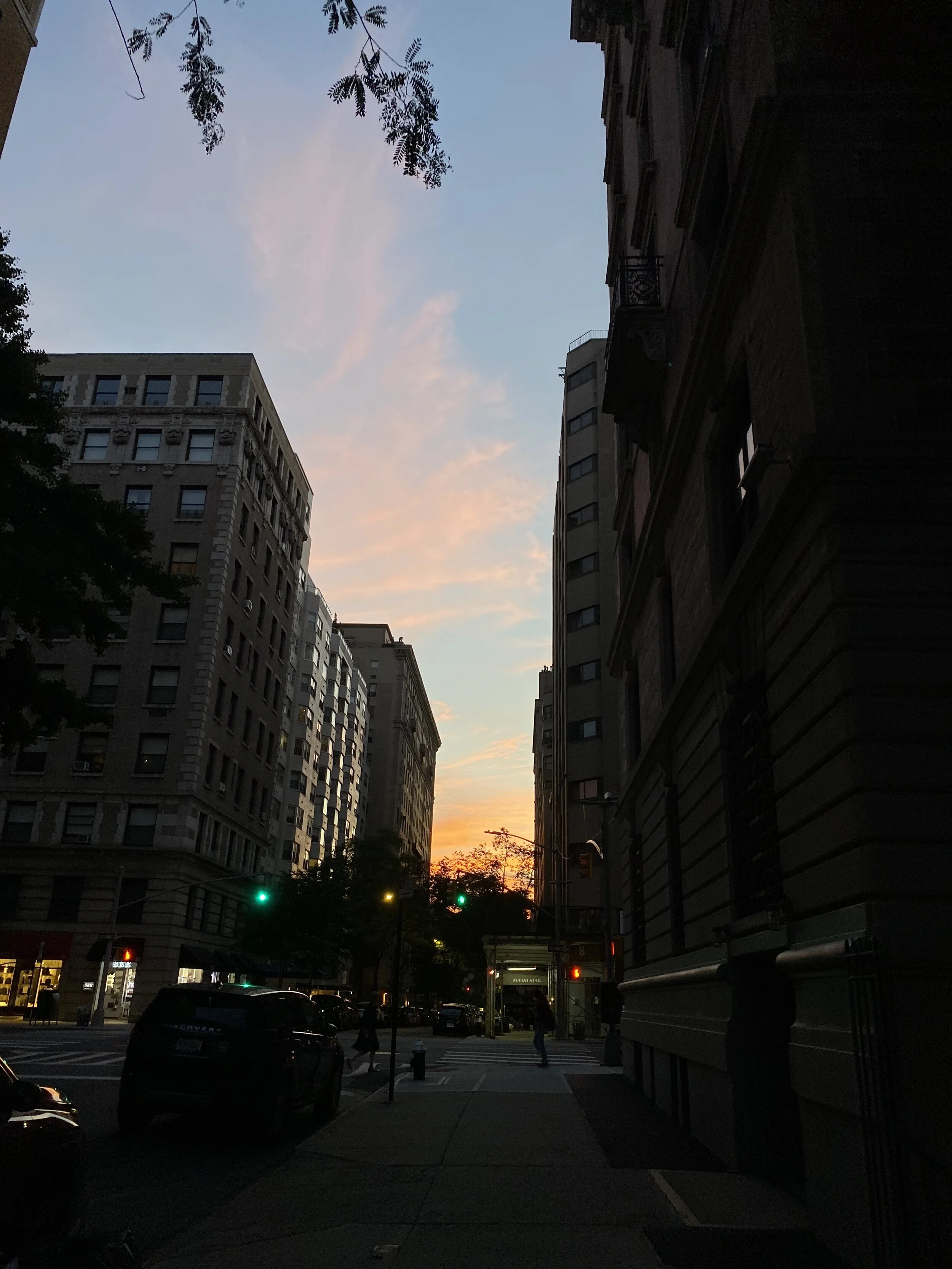 IMG_2016.jpeg