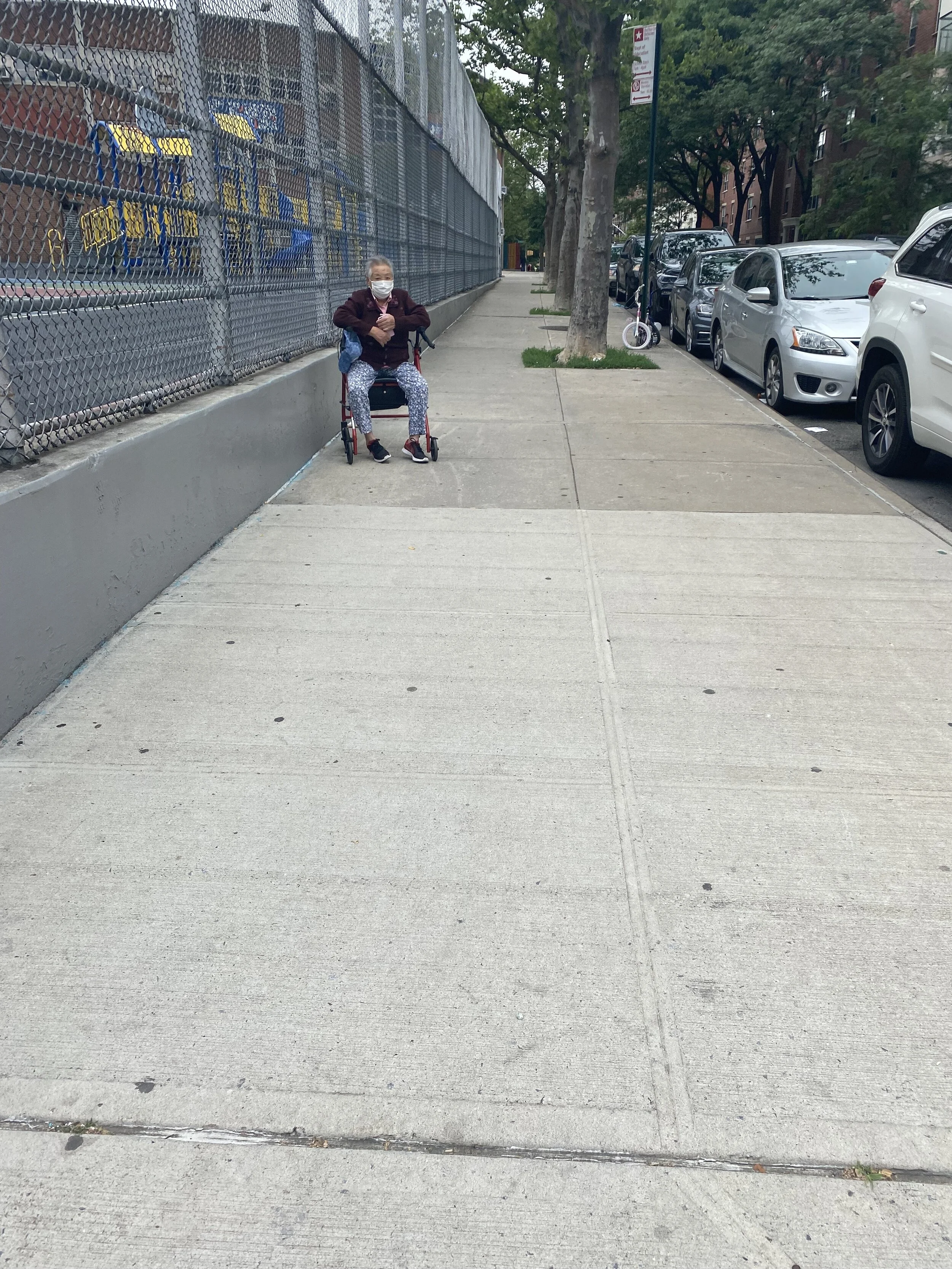 IMG_2105.jpeg