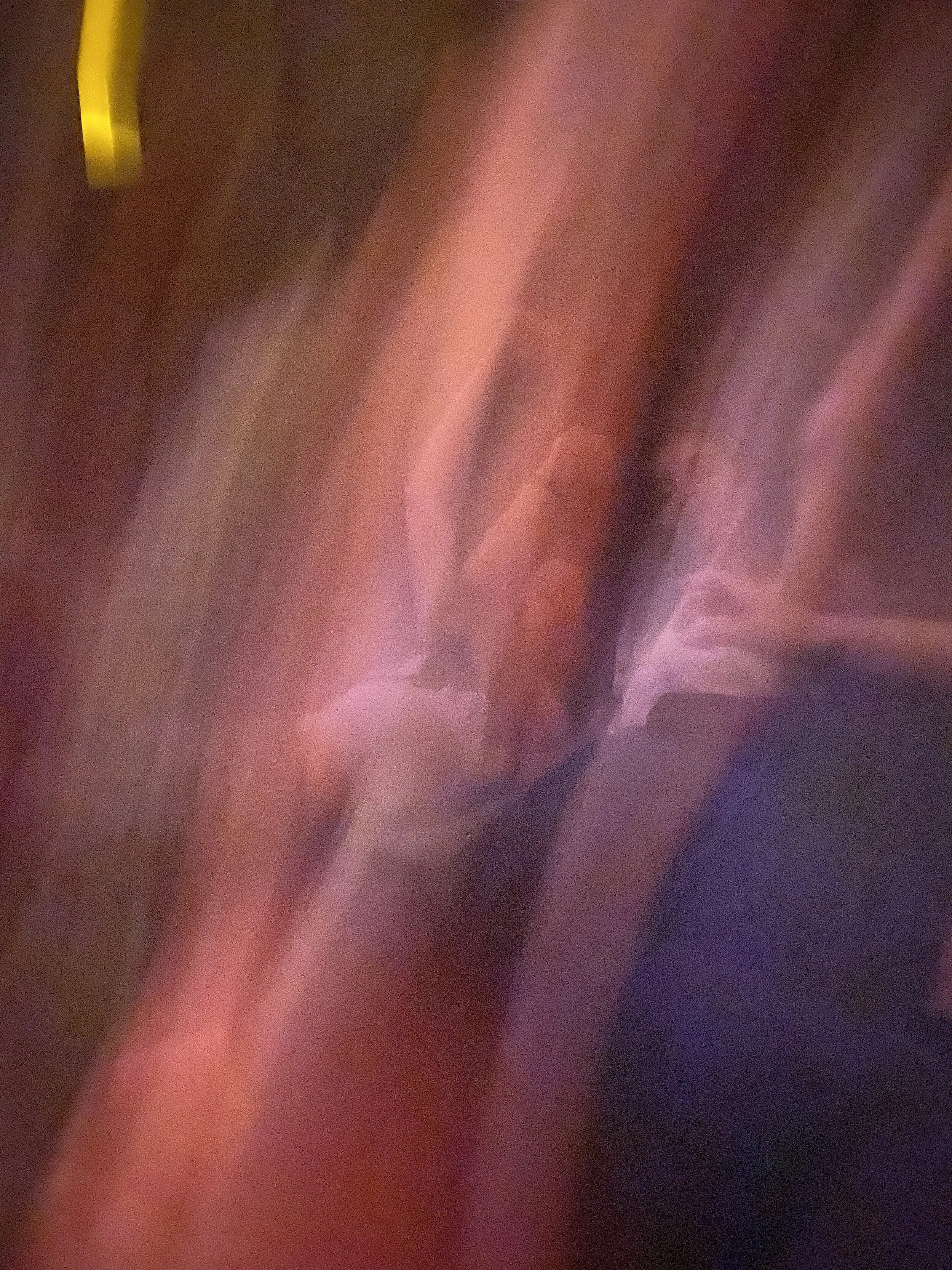 IMG_2169.jpeg