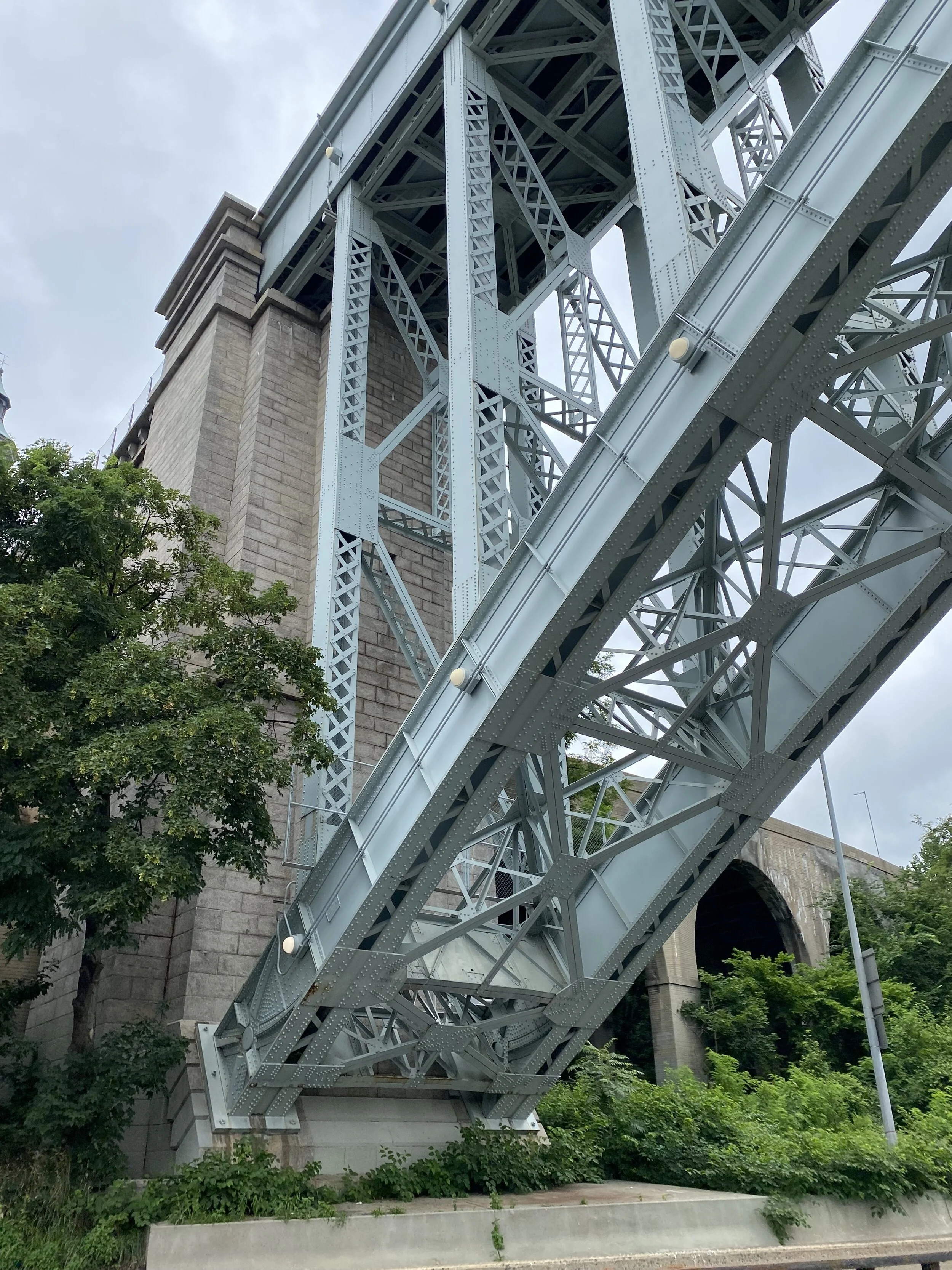 IMG_3536.jpeg