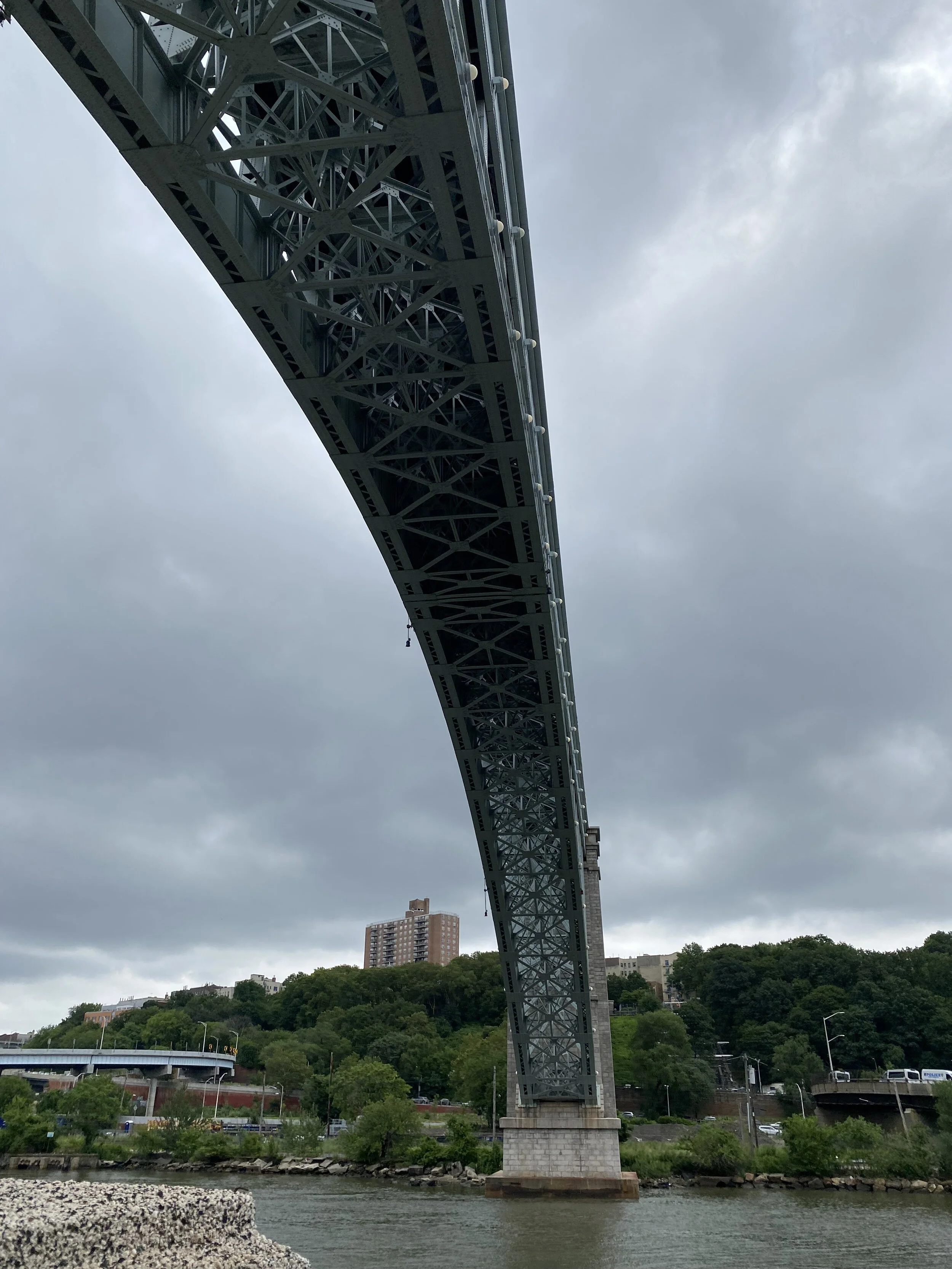 IMG_3537.jpeg