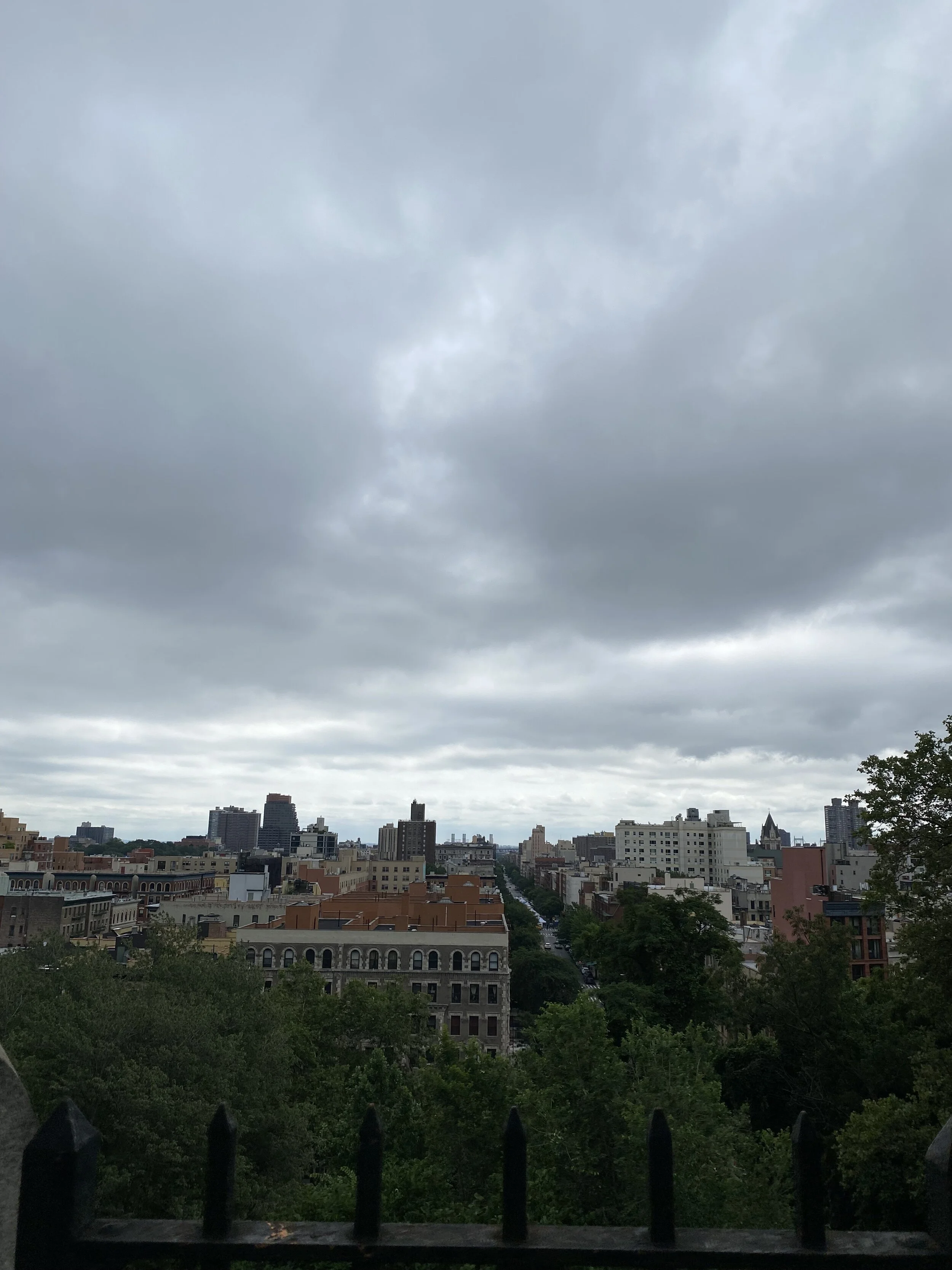 IMG_3505.jpeg