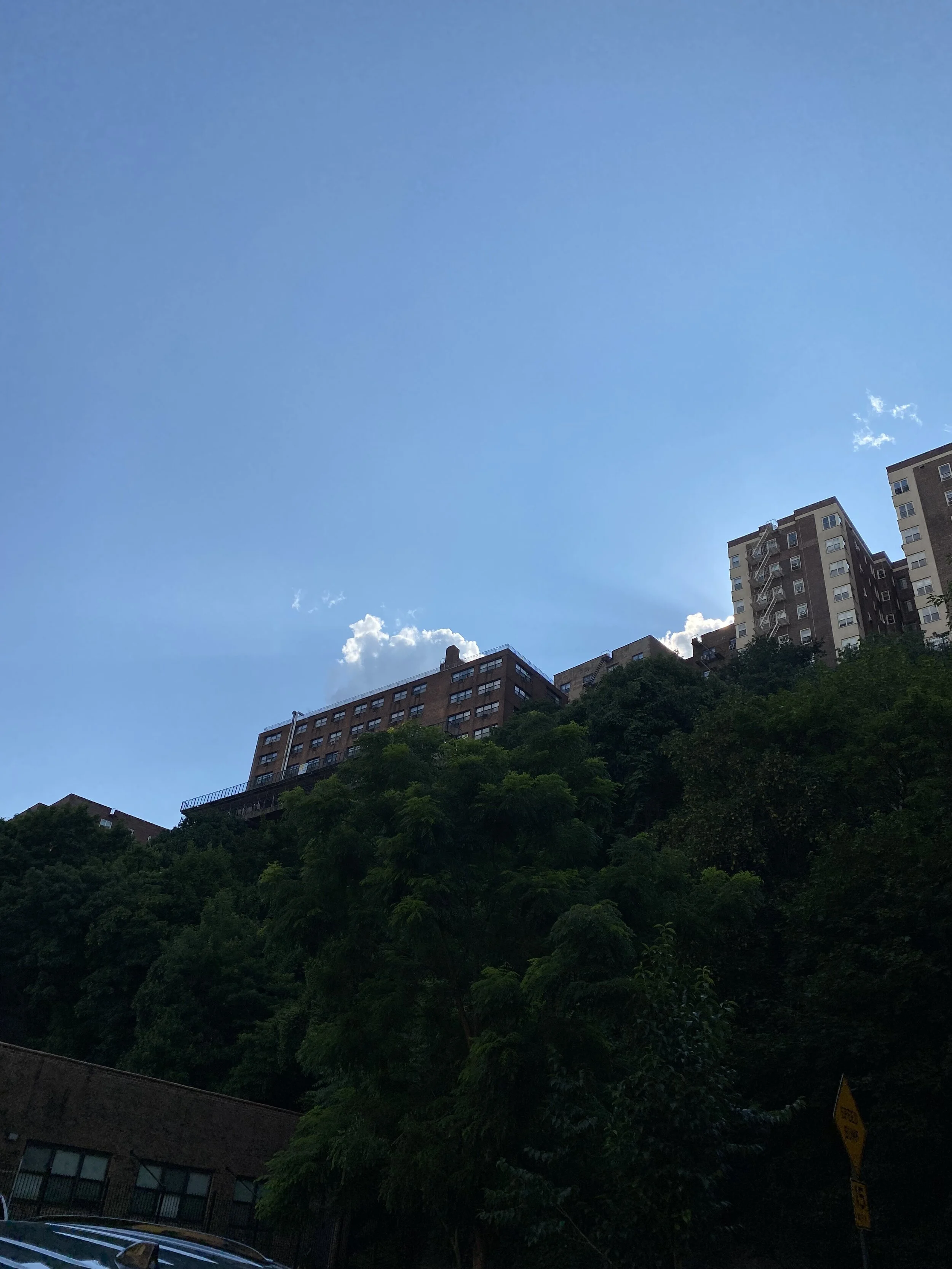 IMG_3605.jpeg