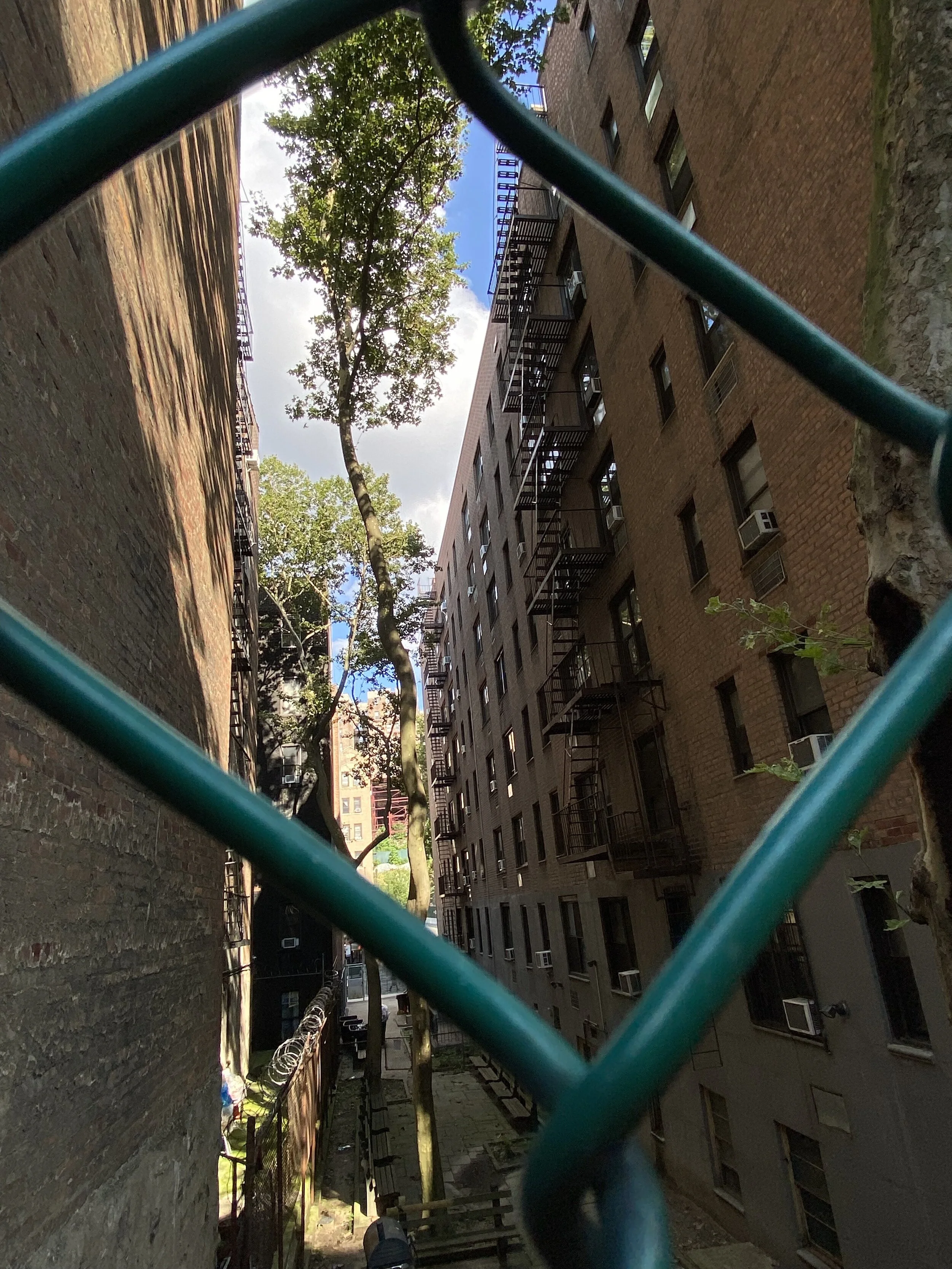 IMG_3607.jpeg