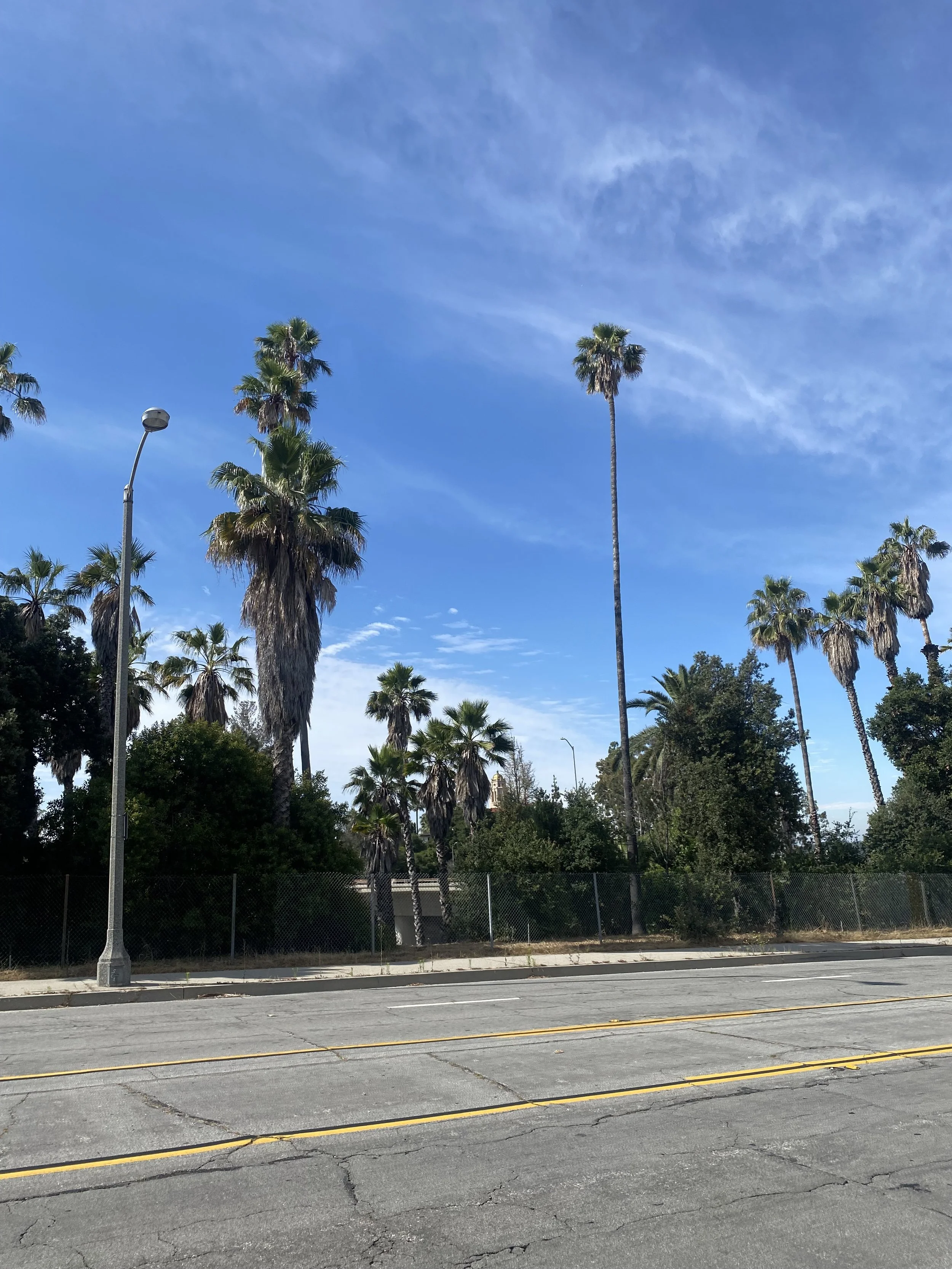 IMG_0688.jpeg