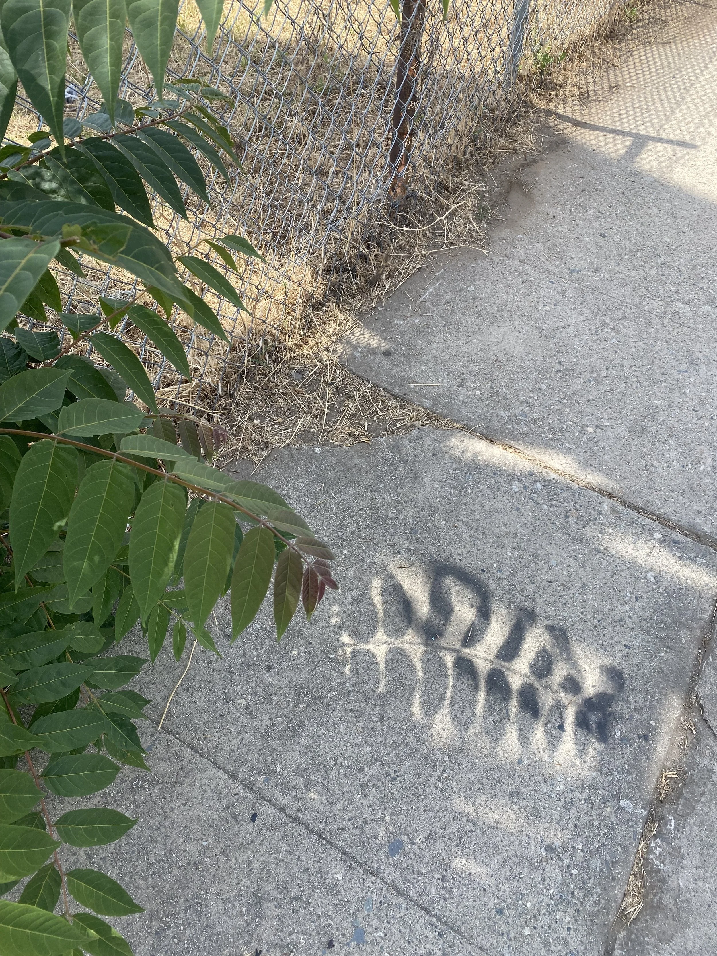 IMG_0792.jpeg