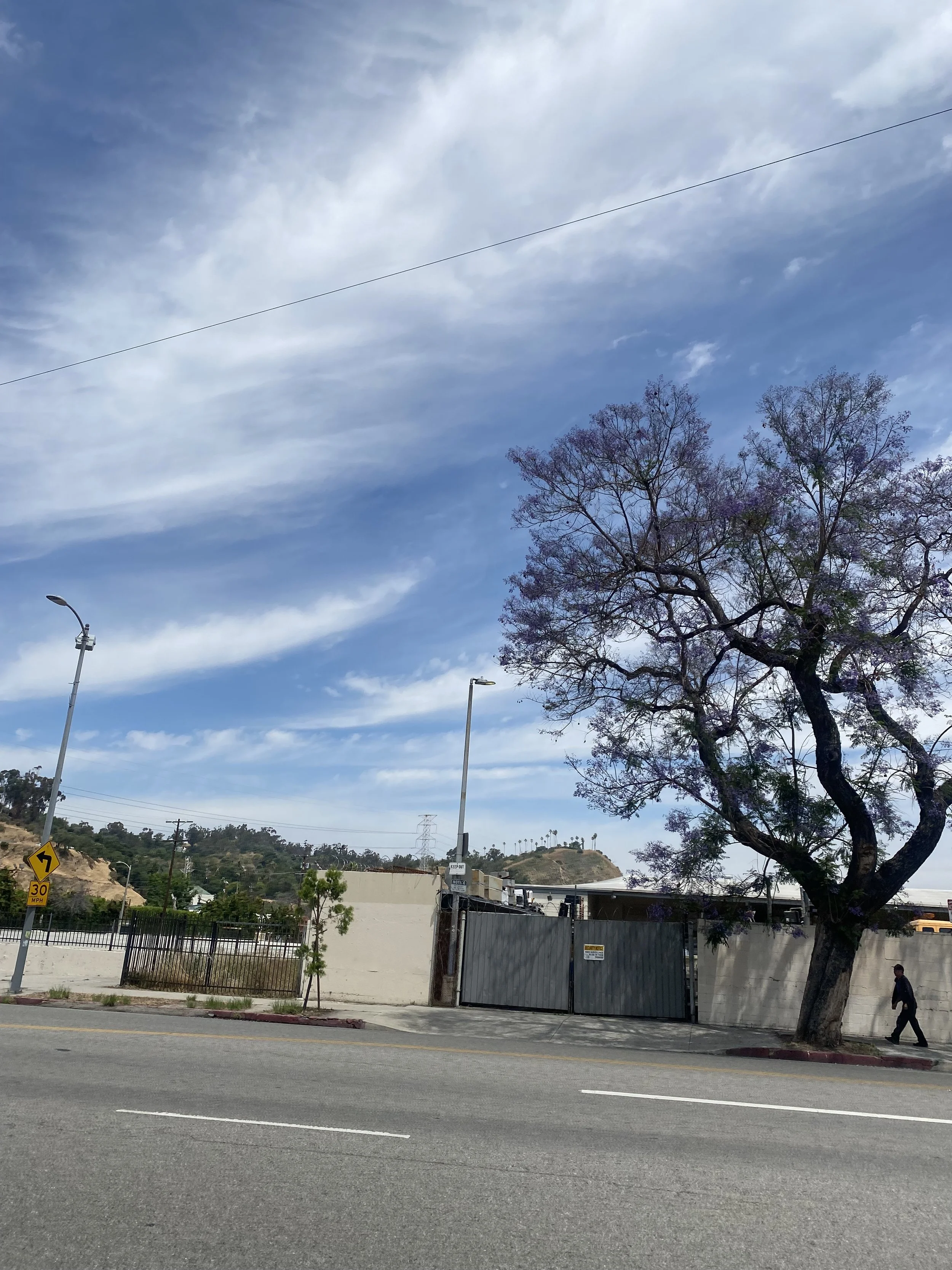IMG_0761.jpeg