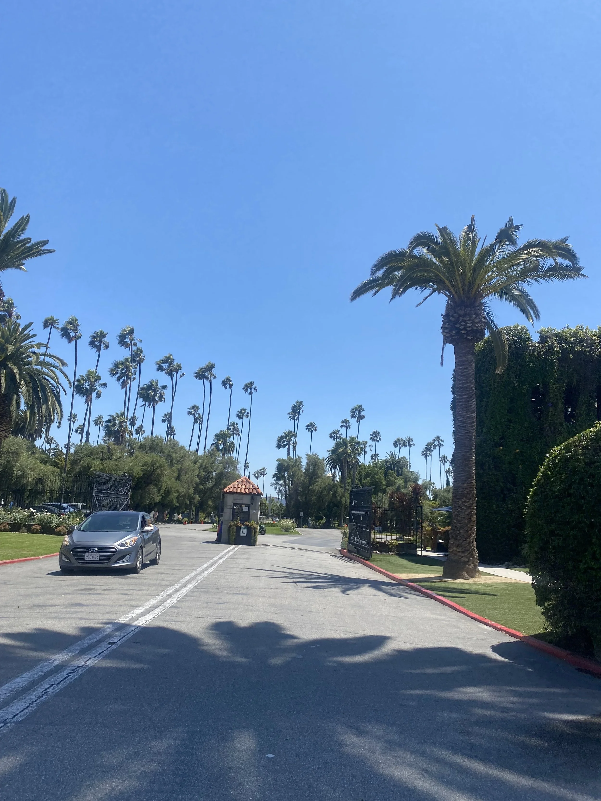 IMG_0901.jpeg