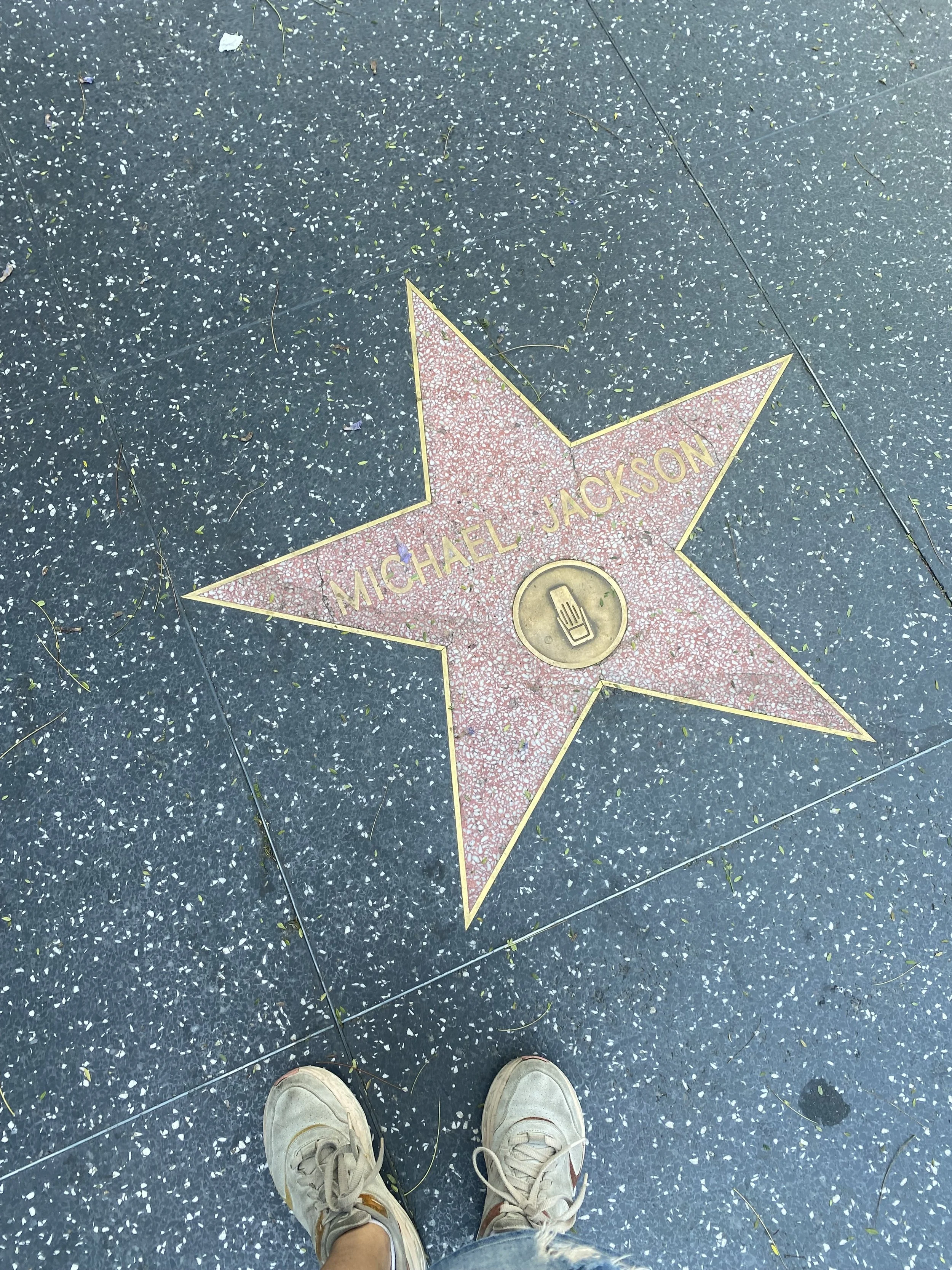 IMG_0914.jpeg