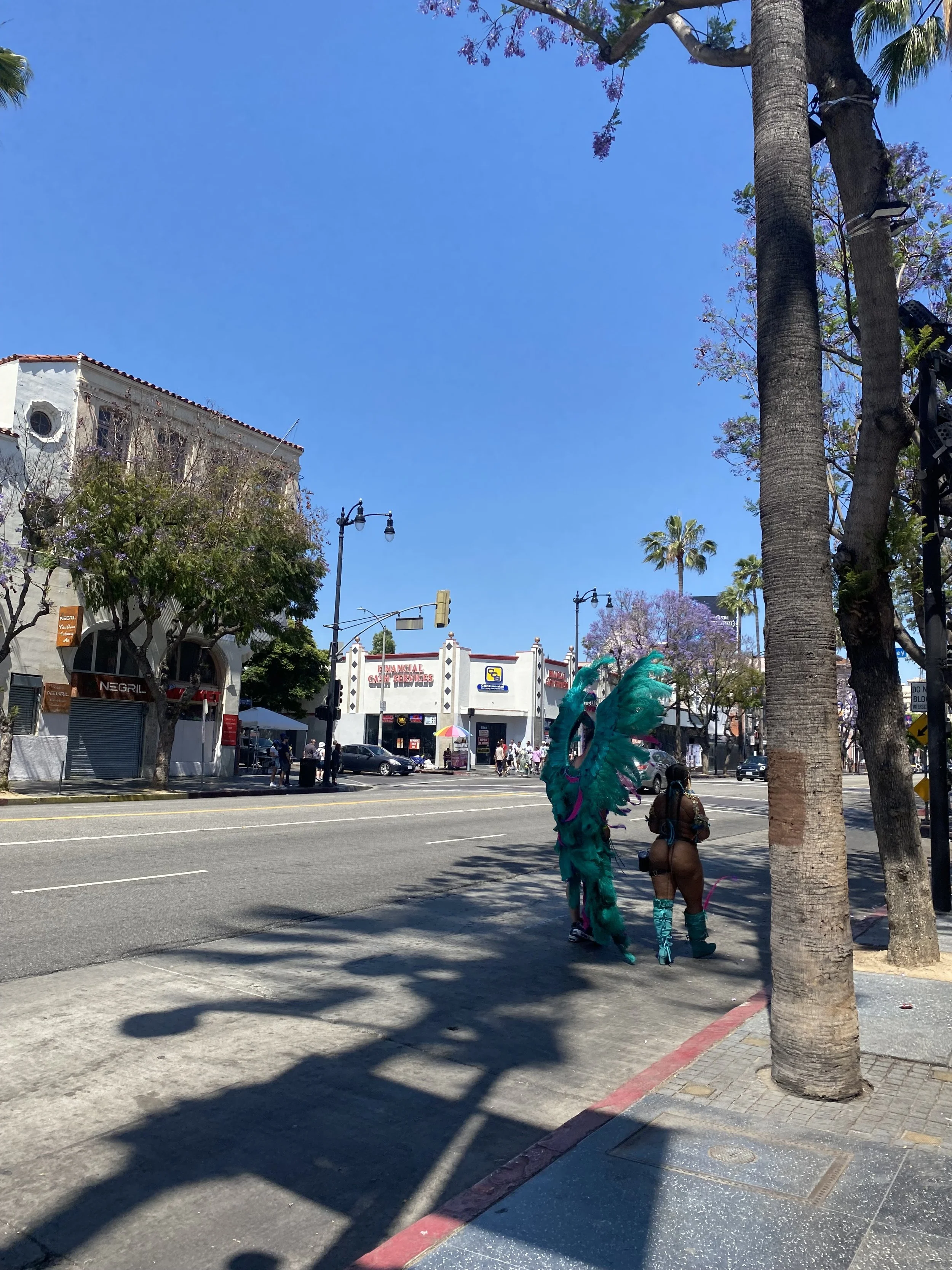 IMG_0922.jpeg