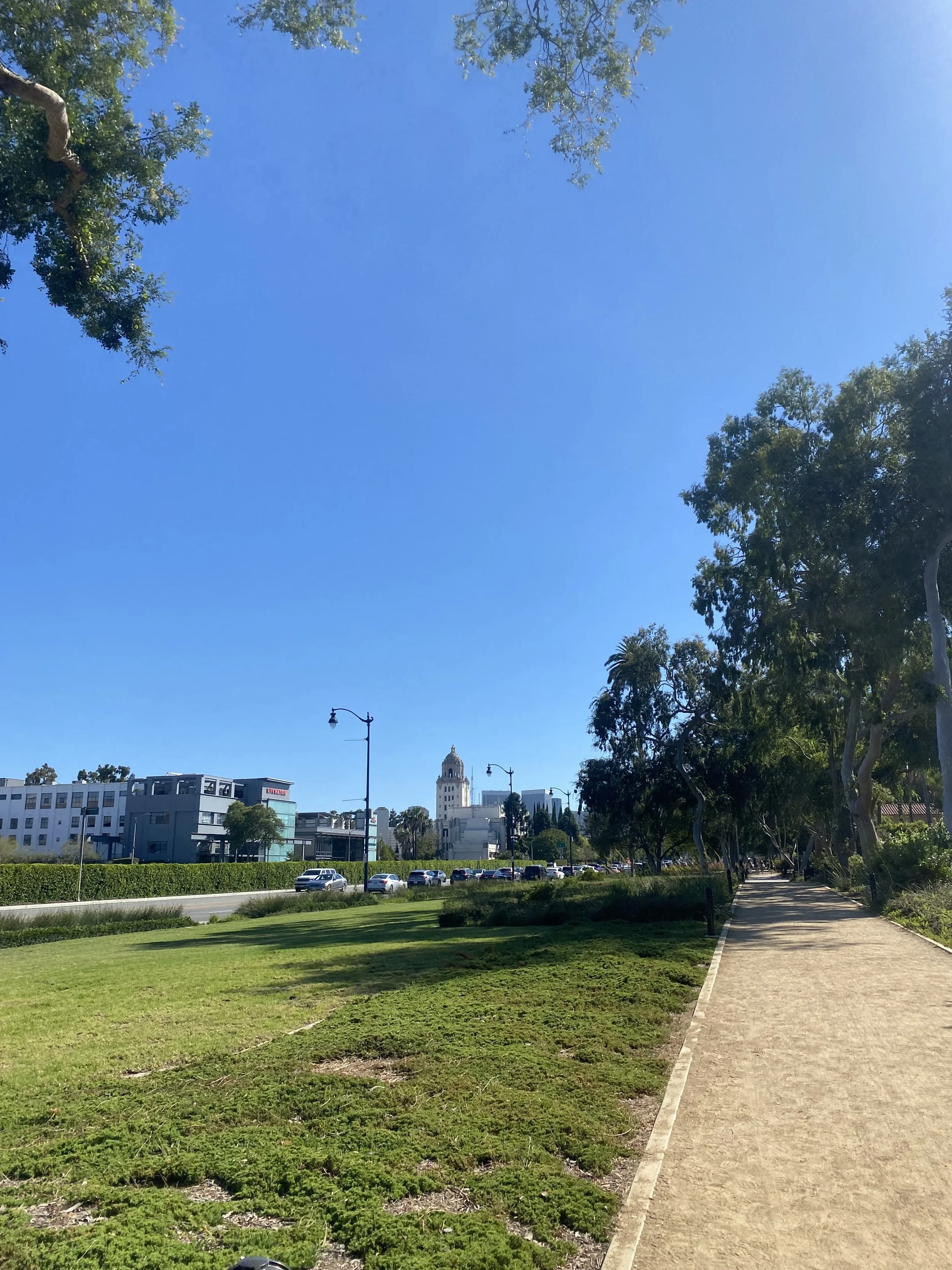 IMG_0969.jpeg