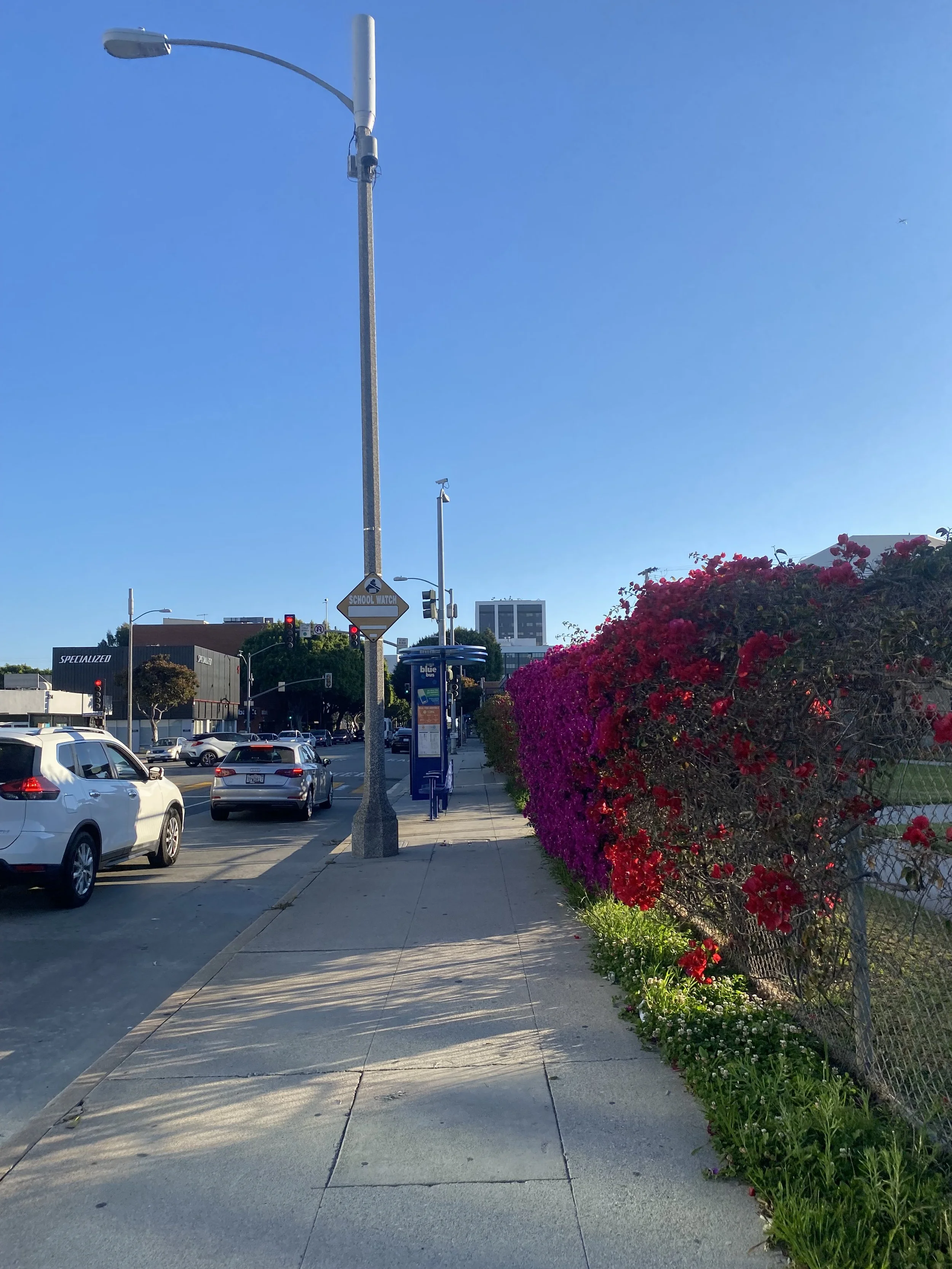 IMG_1016.jpeg
