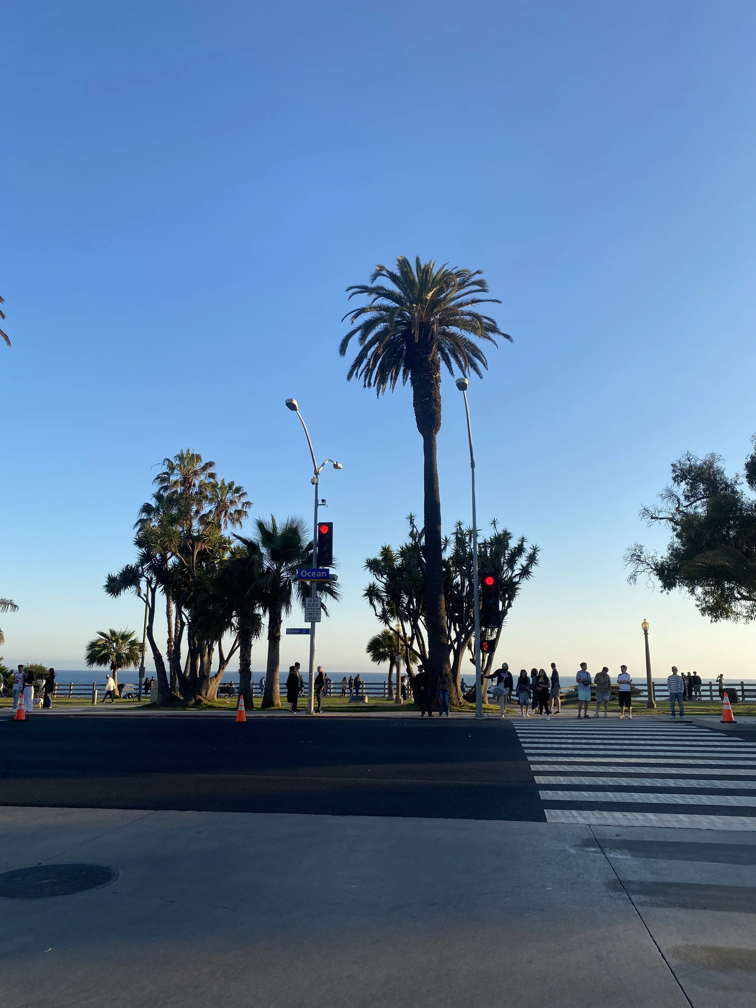 IMG_1025.jpeg