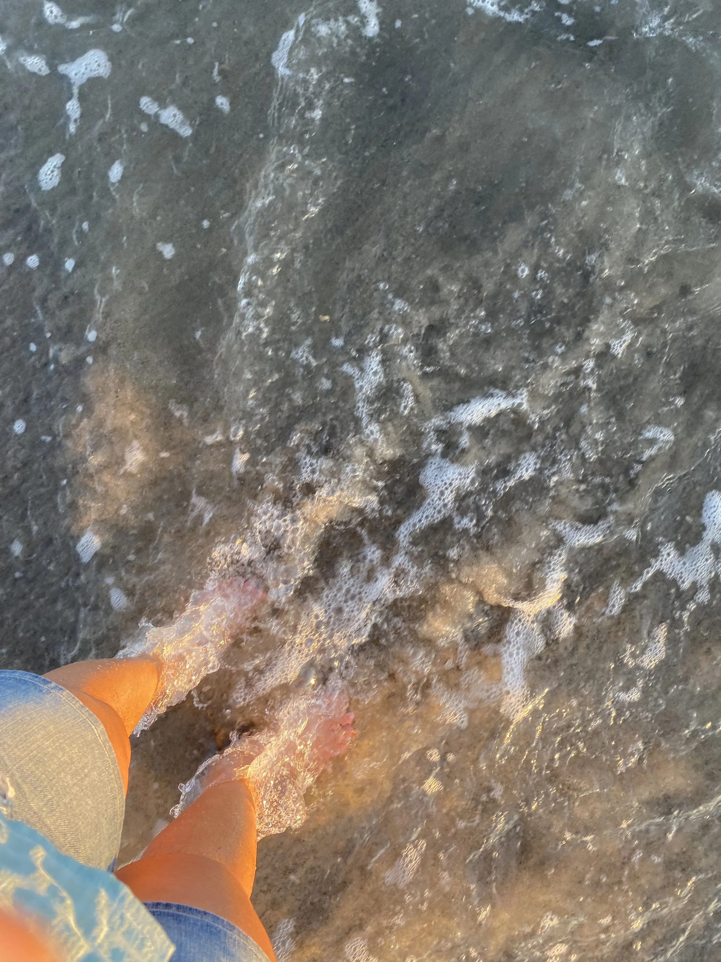 IMG_1050.jpeg