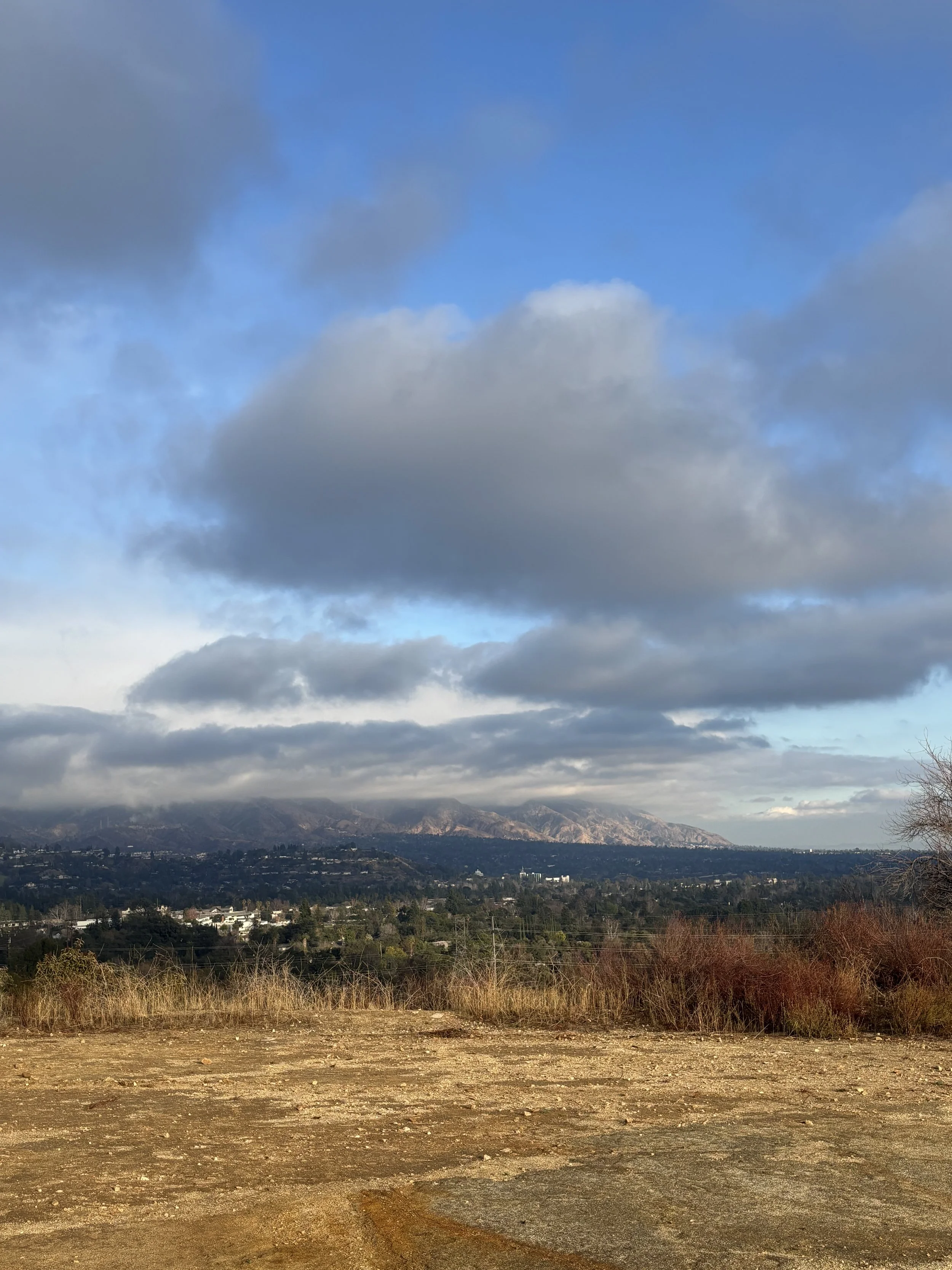 IMG_6895.jpeg