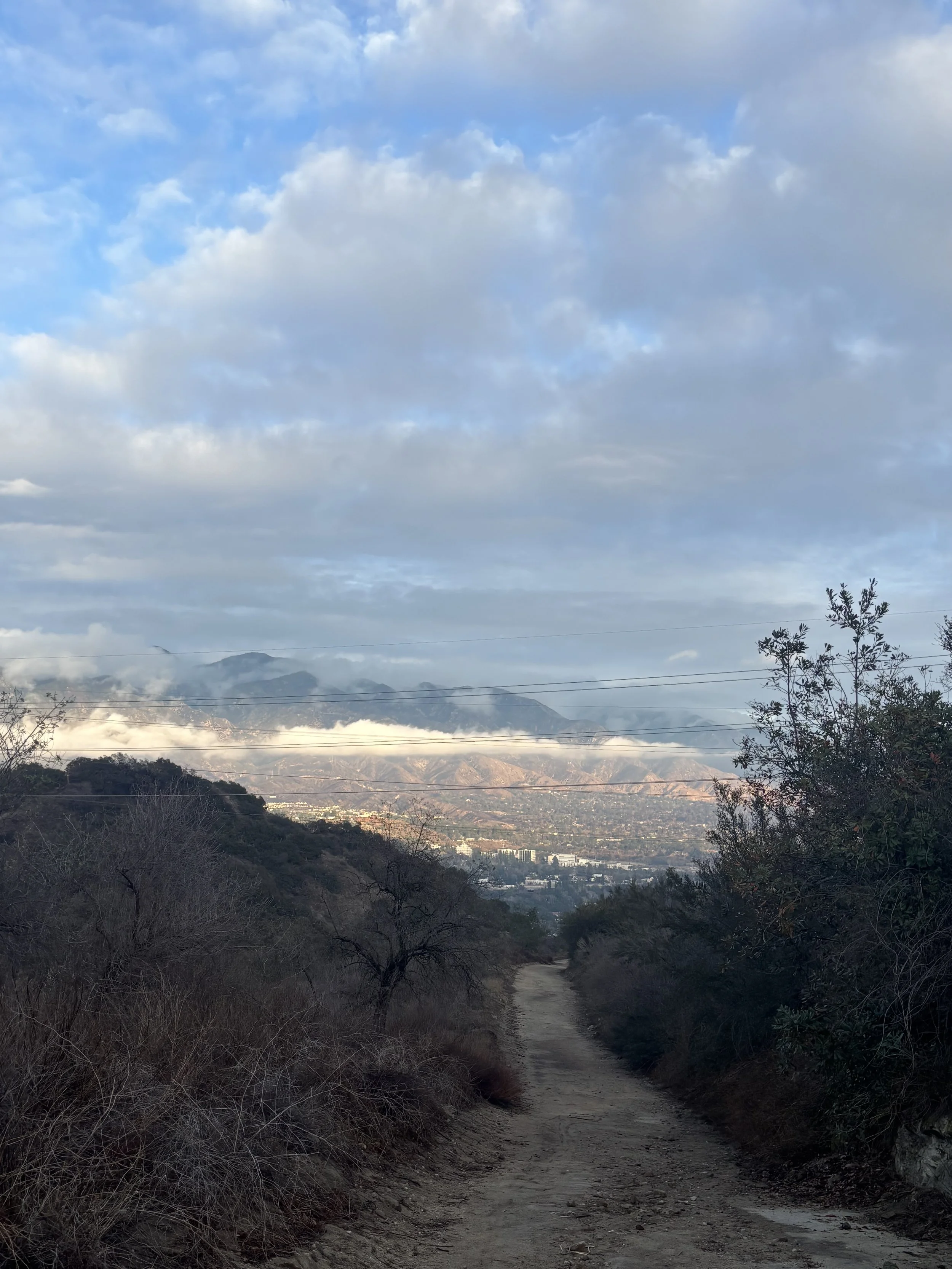 IMG_6904.jpeg