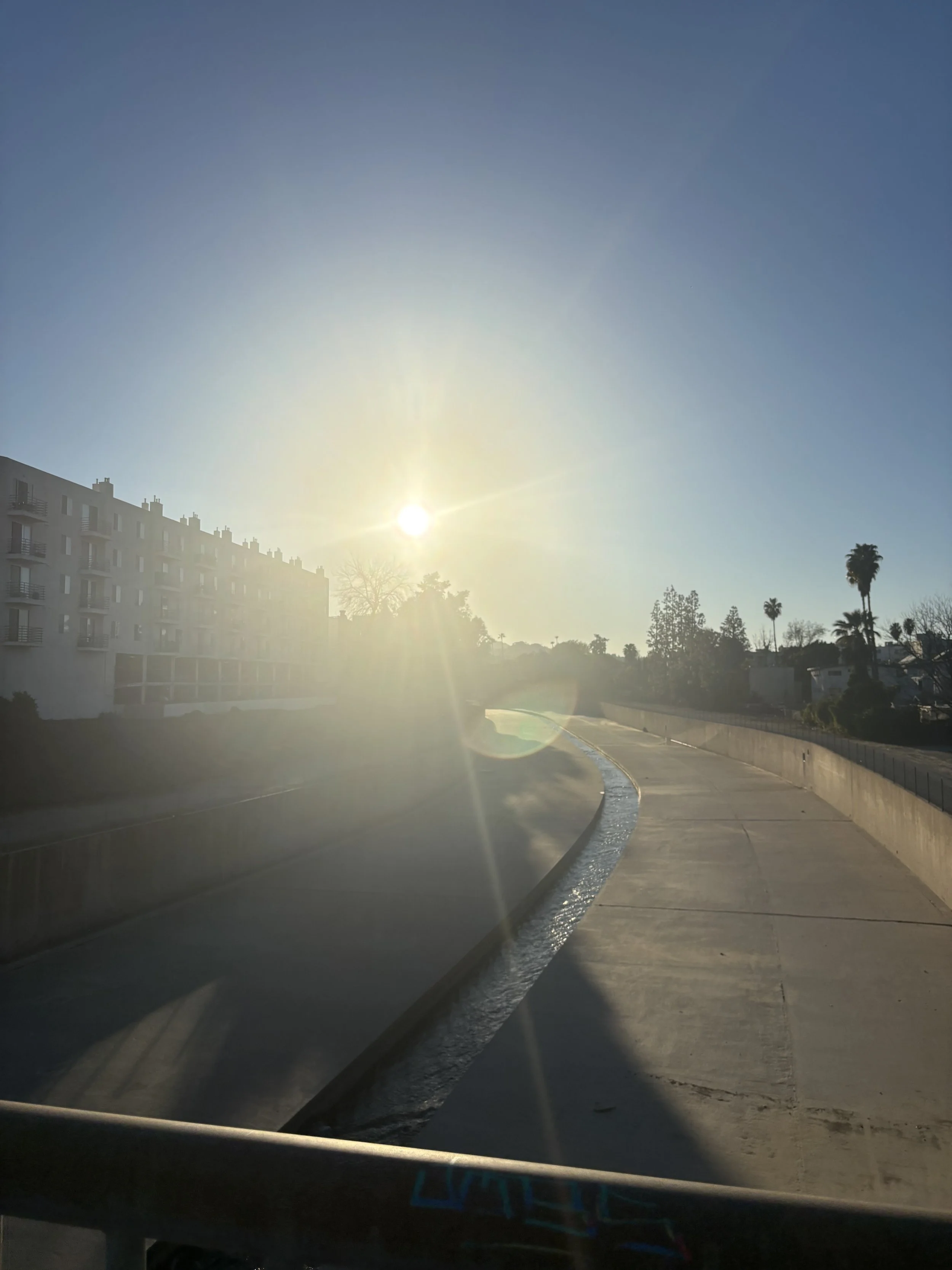 IMG_7681.jpeg