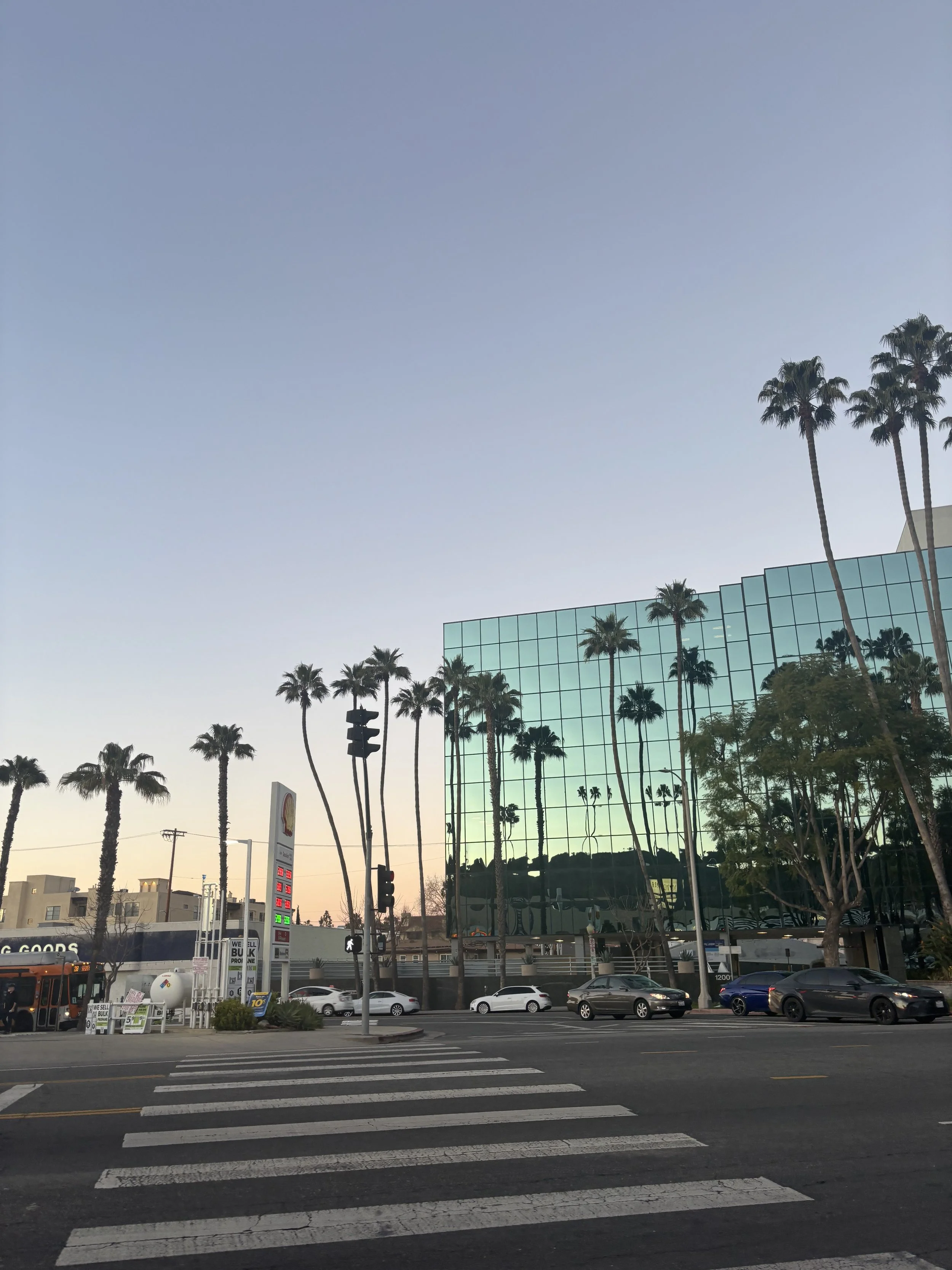 IMG_7692.jpeg
