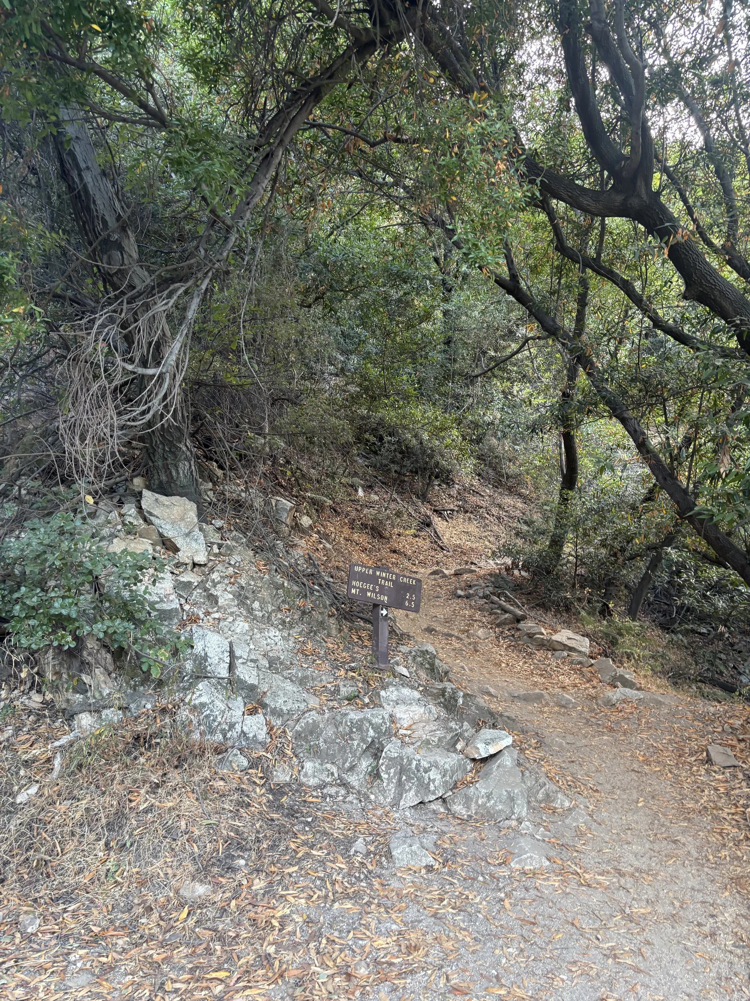 IMG_6067.jpeg