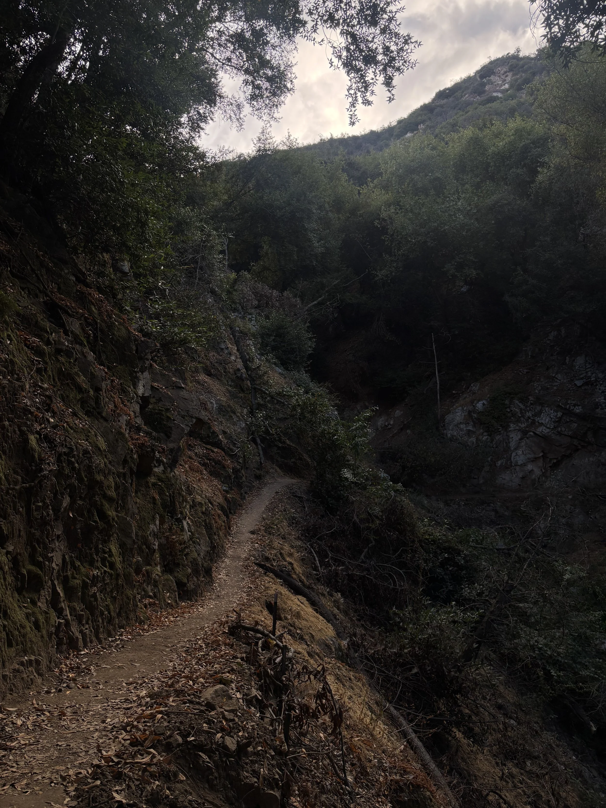 IMG_6072.jpeg