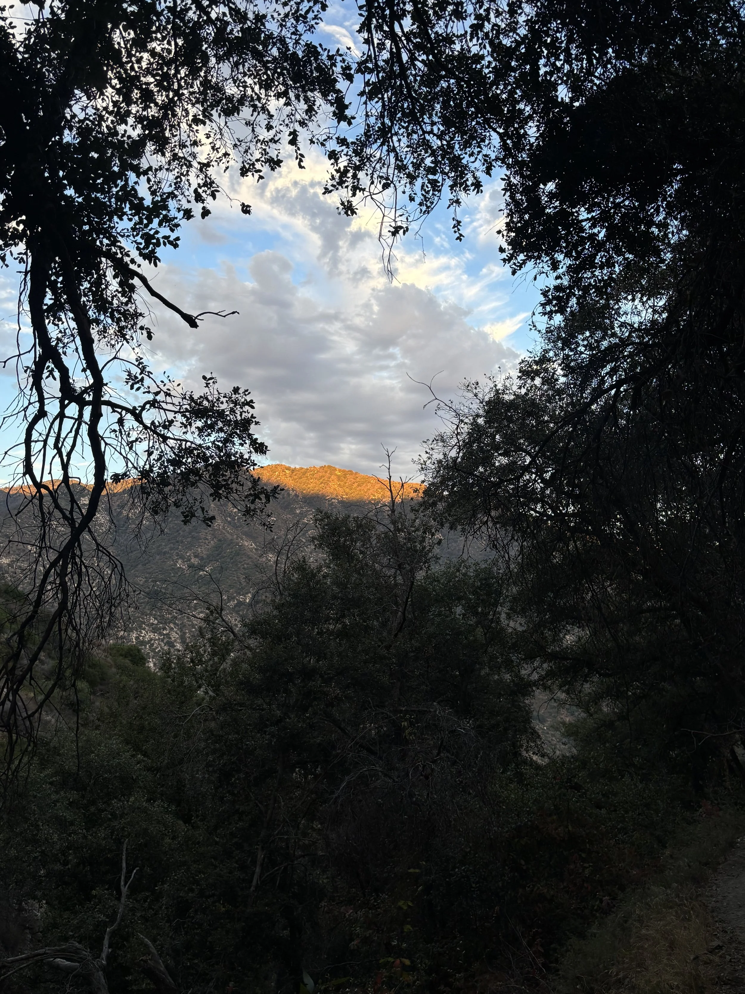 IMG_6166.jpeg