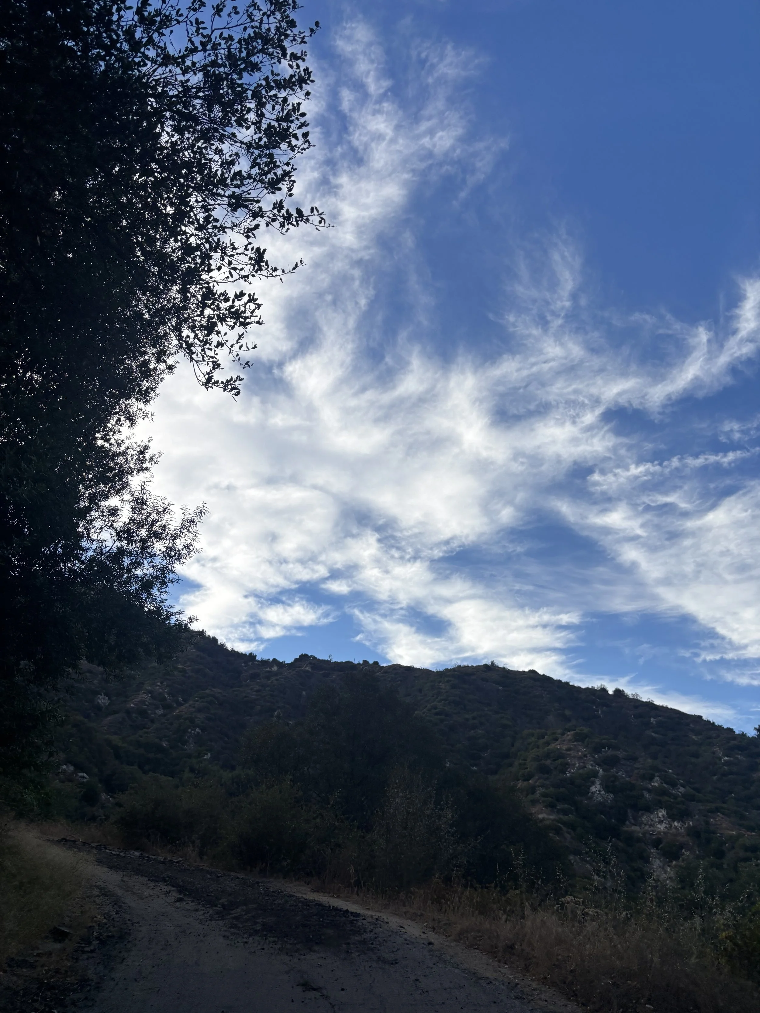 IMG_6065.jpeg