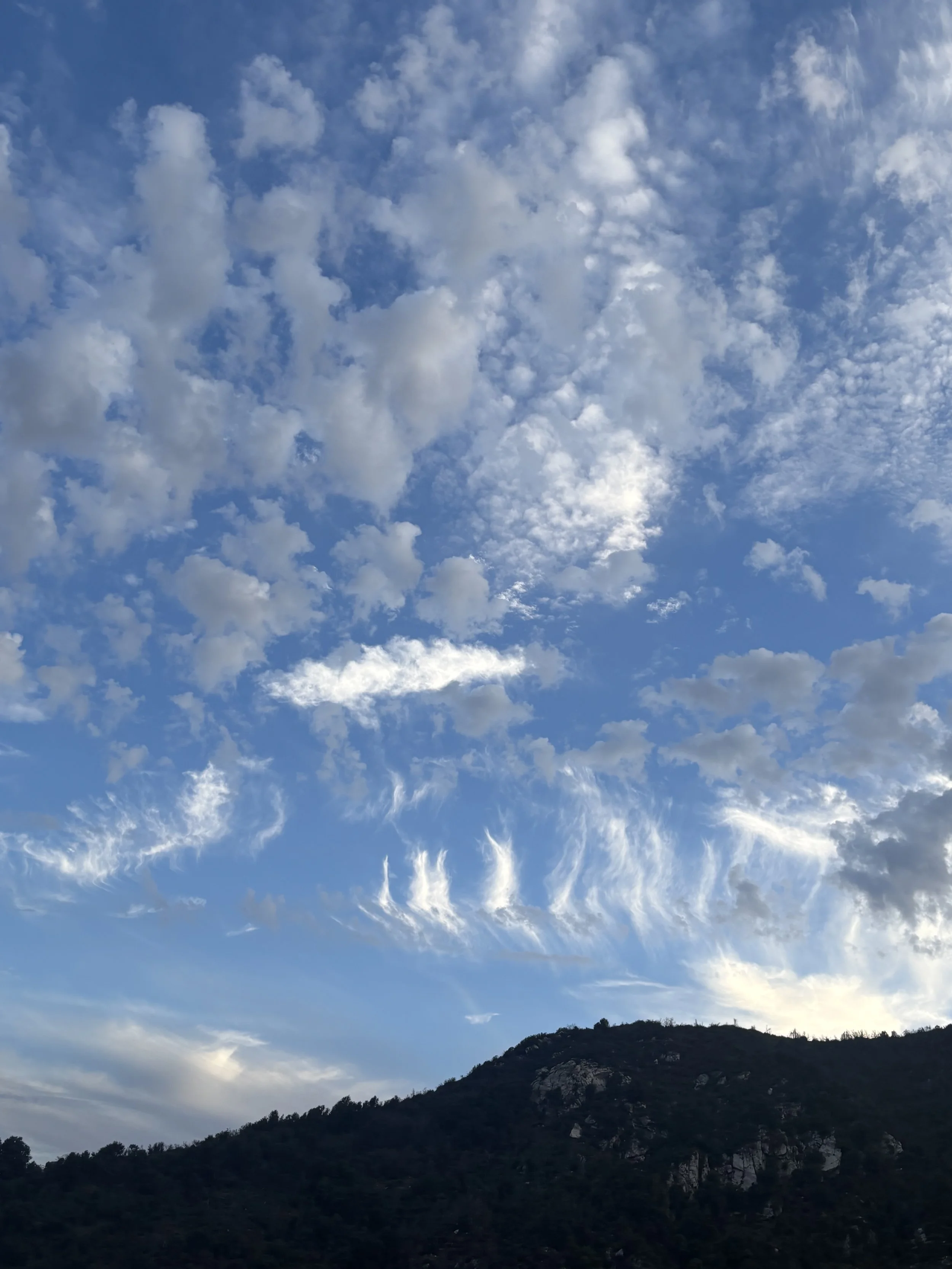 IMG_6150.jpeg